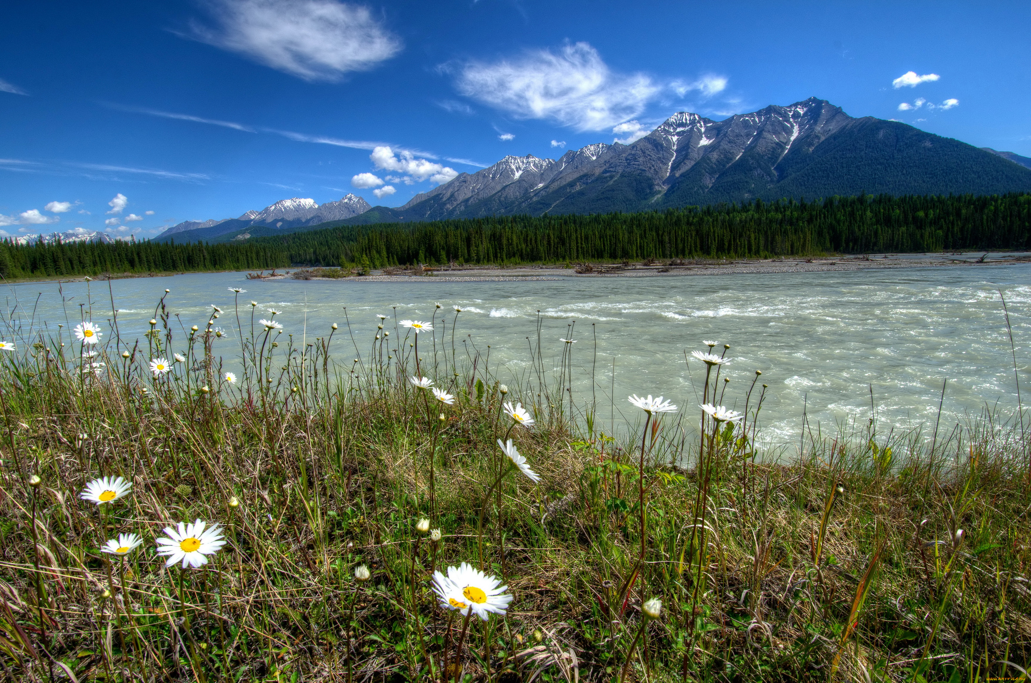 vermilion, river, kootenay, national, park, canada, природа, реки, озера, берег, река