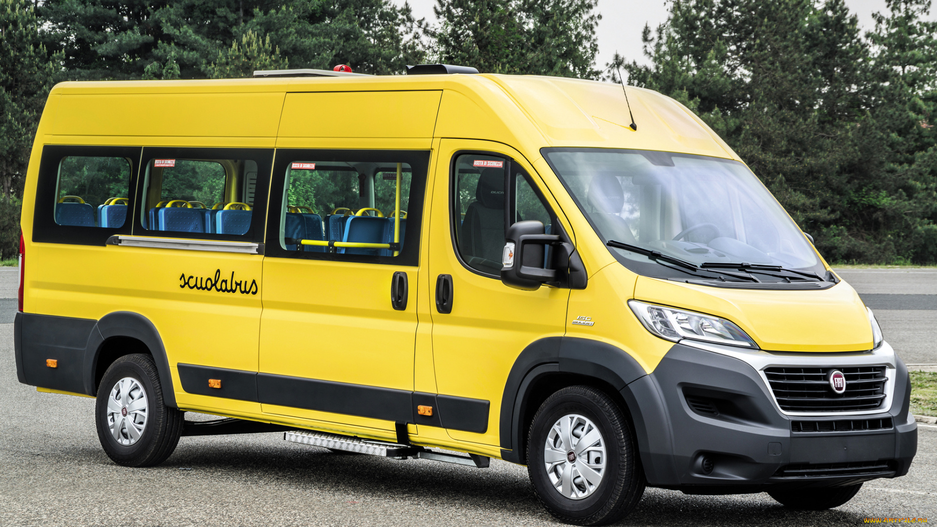автомобили, fiat, желтый, 2014, scuolabus, ducato