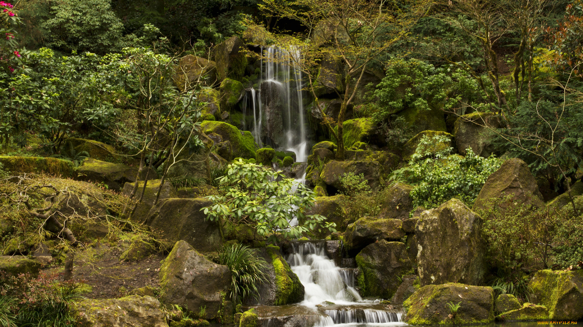 природа, водопады, водопад, река, камни, скалы, лес
