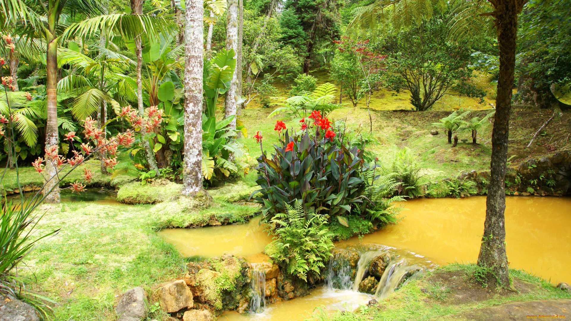 сад, terra, nostra, португалия, природа, парк, цветы, кусты, деревья, ручей, сад, португалия, garden, terra, nostra