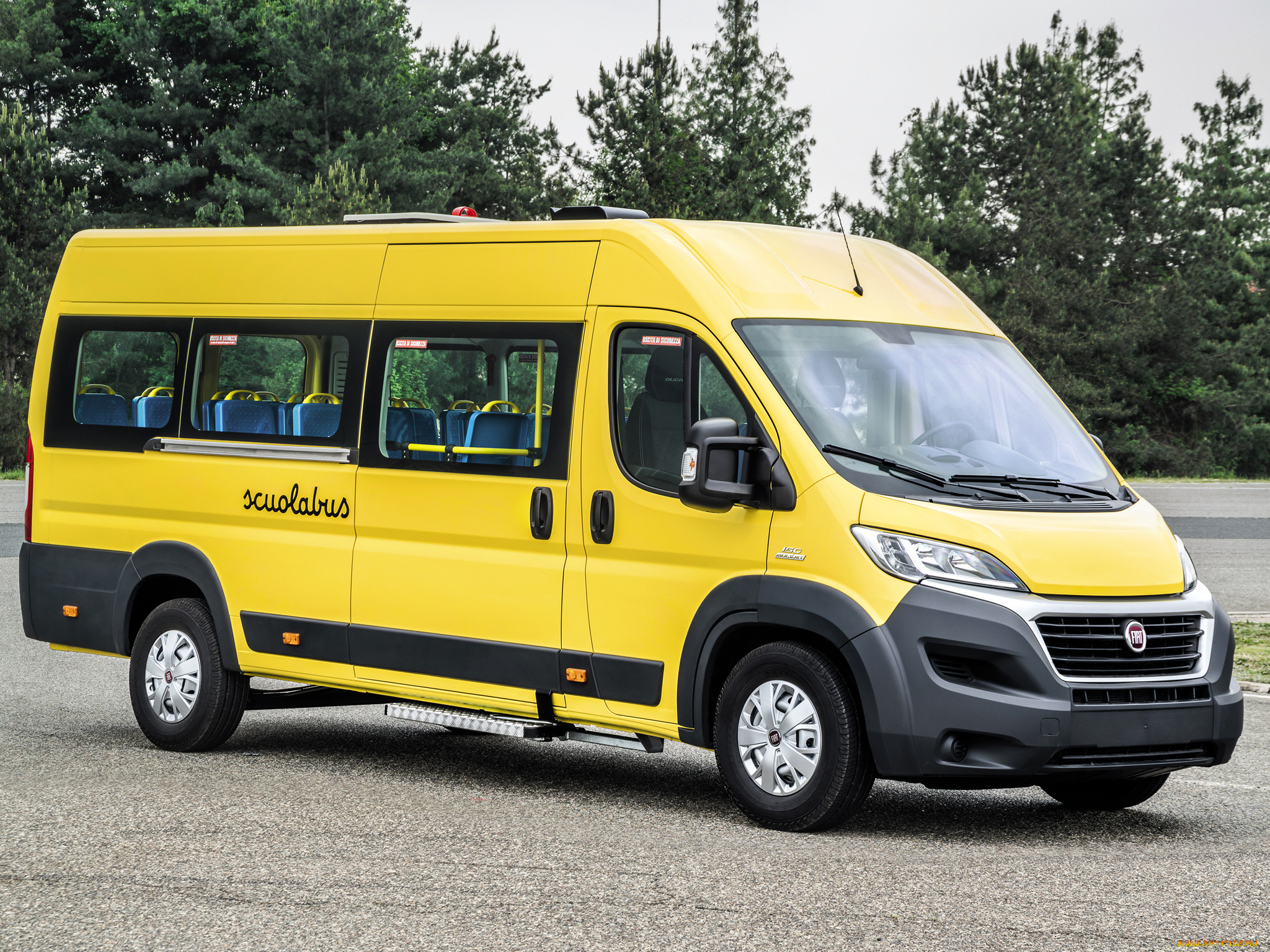 автомобили, fiat, желтый, 2014, scuolabus, ducato