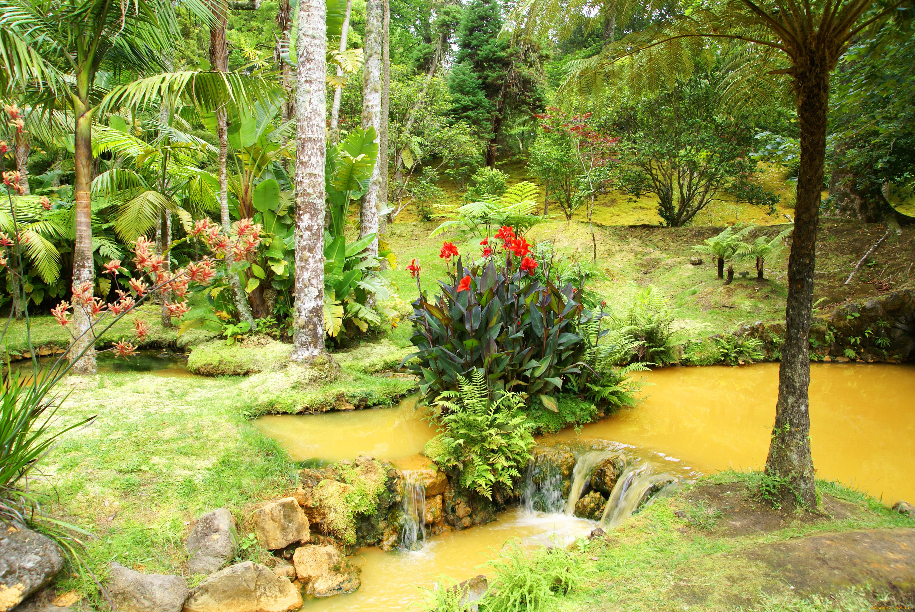 сад, terra, nostra, португалия, природа, парк, цветы, кусты, деревья, ручей, сад, португалия, garden, terra, nostra