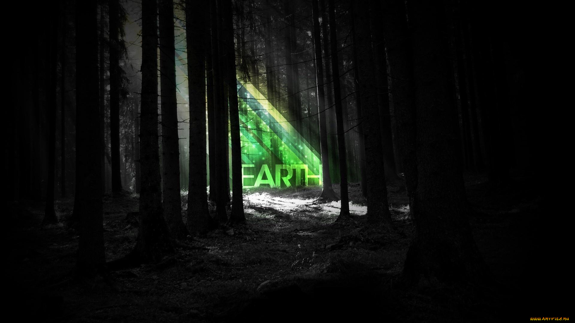 разное, компьютерный, дизайн, надпись, свет, темень, деревья, лес