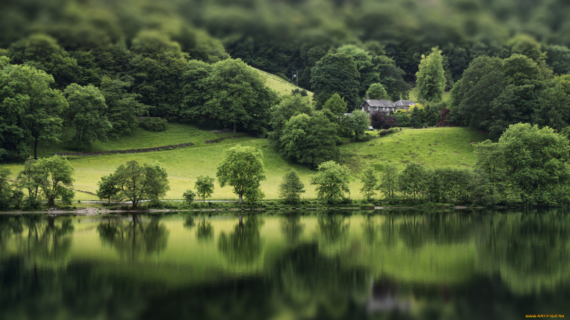 природа, реки, озера, лес, река