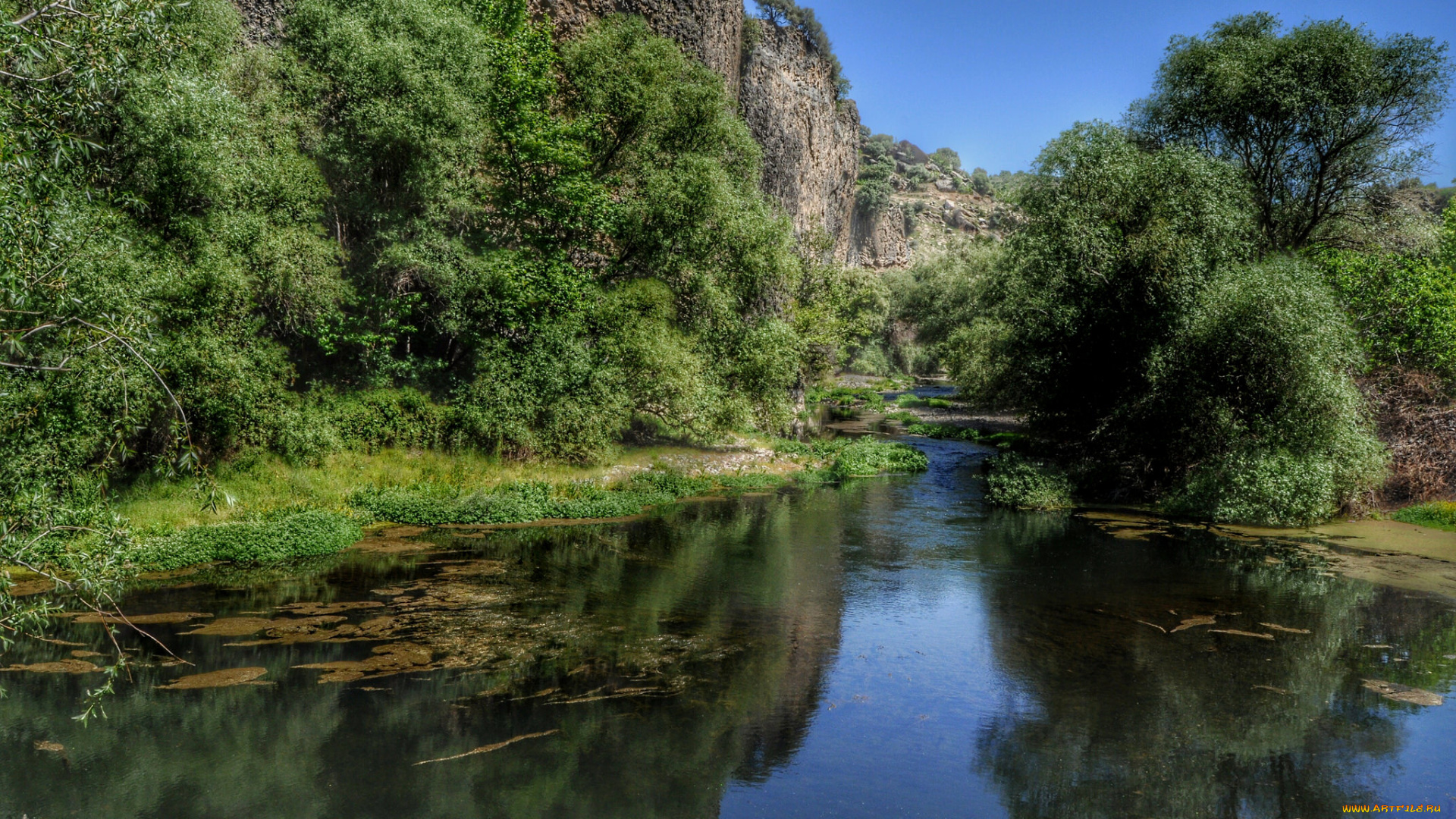 природа, реки, озера, лес, река