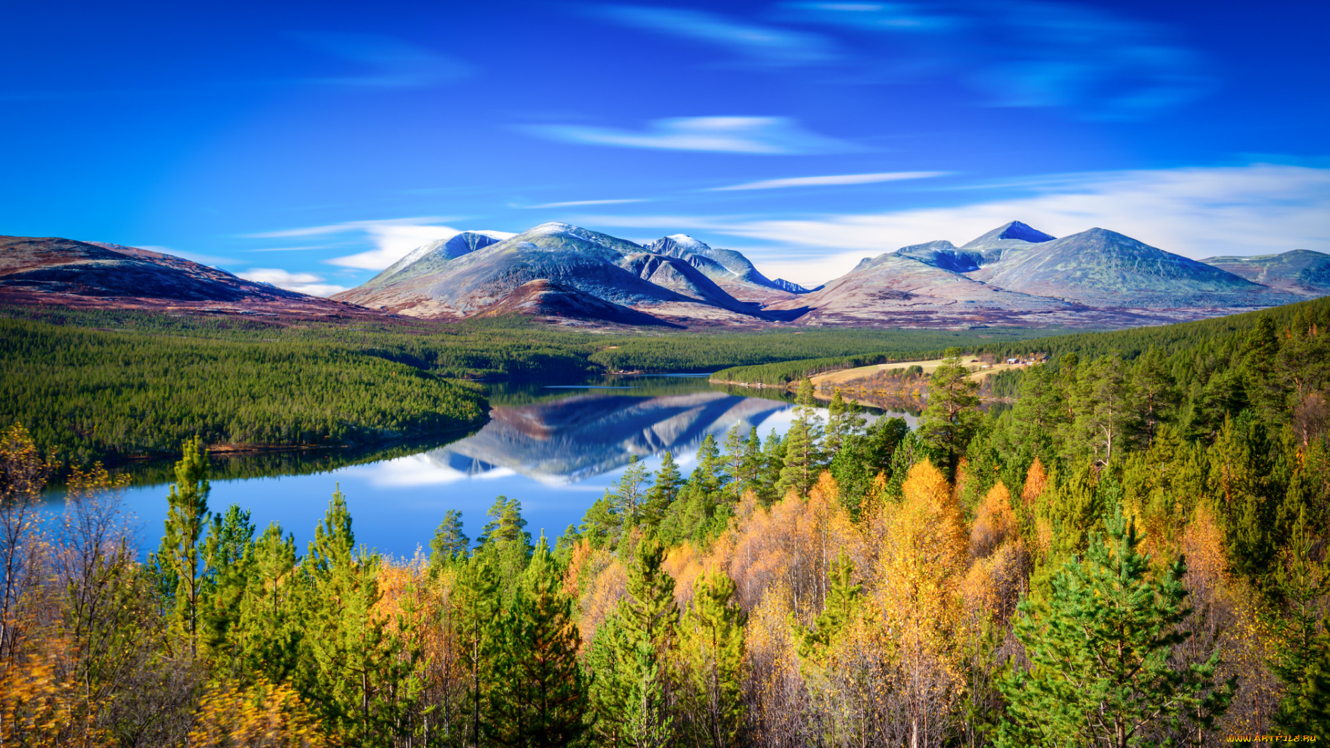 природа, реки, озера, река, лес