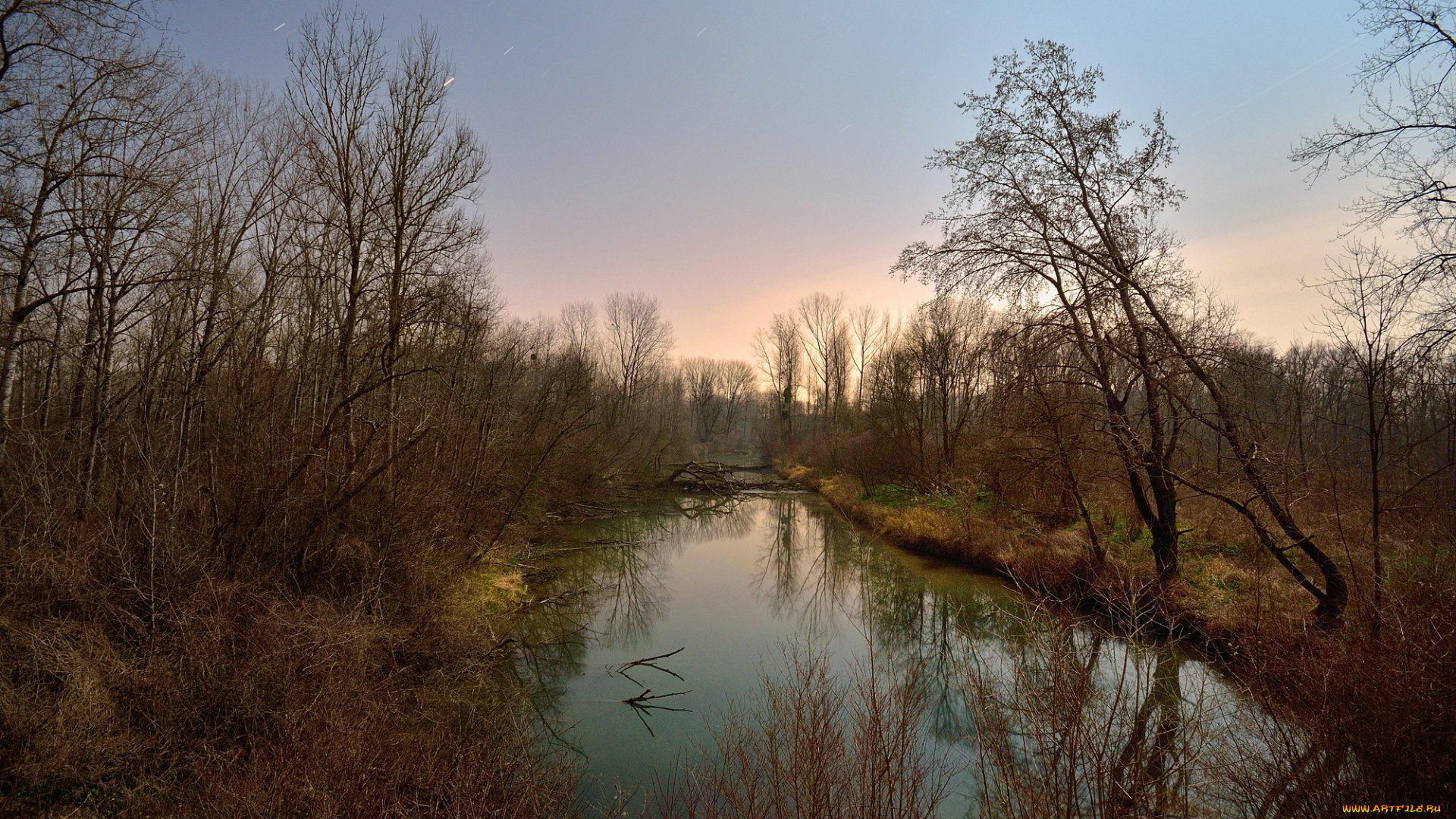 природа, реки, озера, река, лес