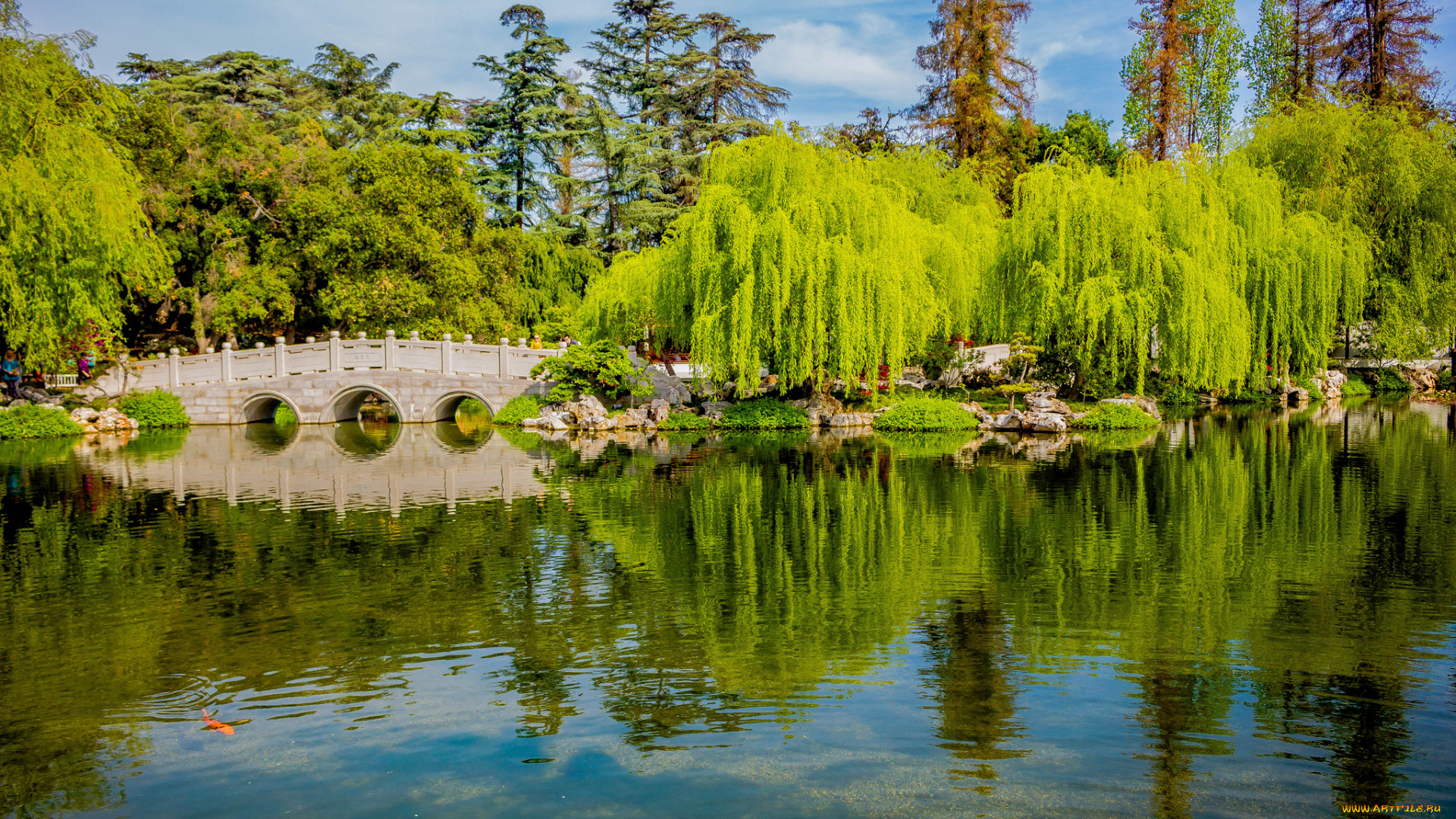 природа, реки, озера, река, лес