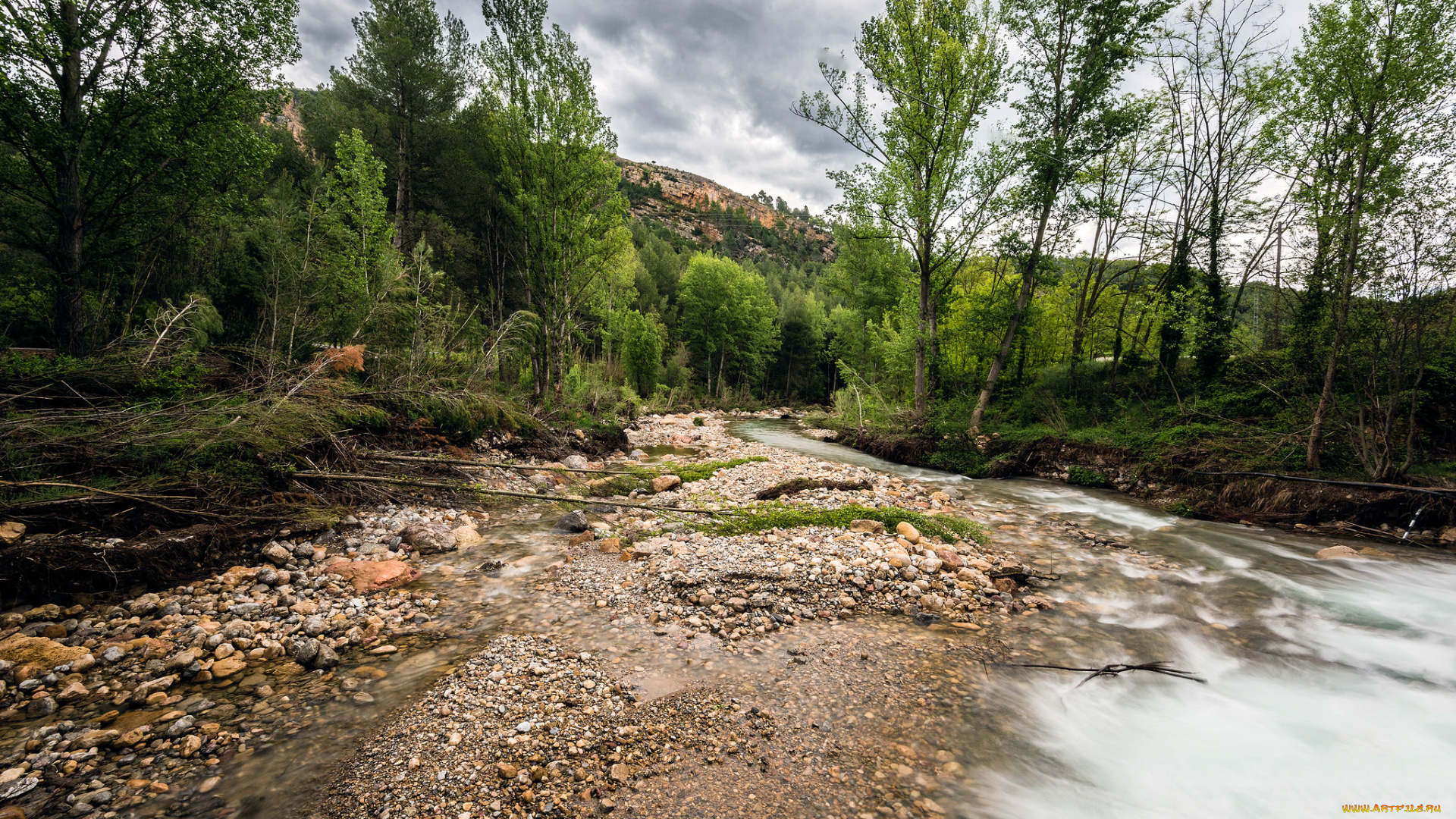 природа, реки, озера, река, лес