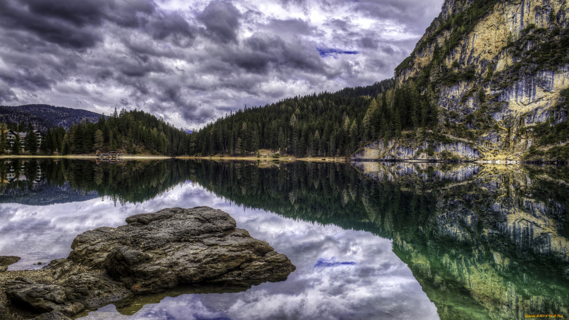 природа, реки, озера, река, лес