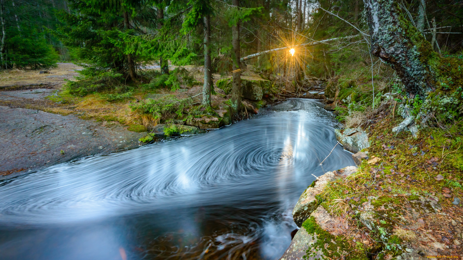 природа, реки, озера, река, лес