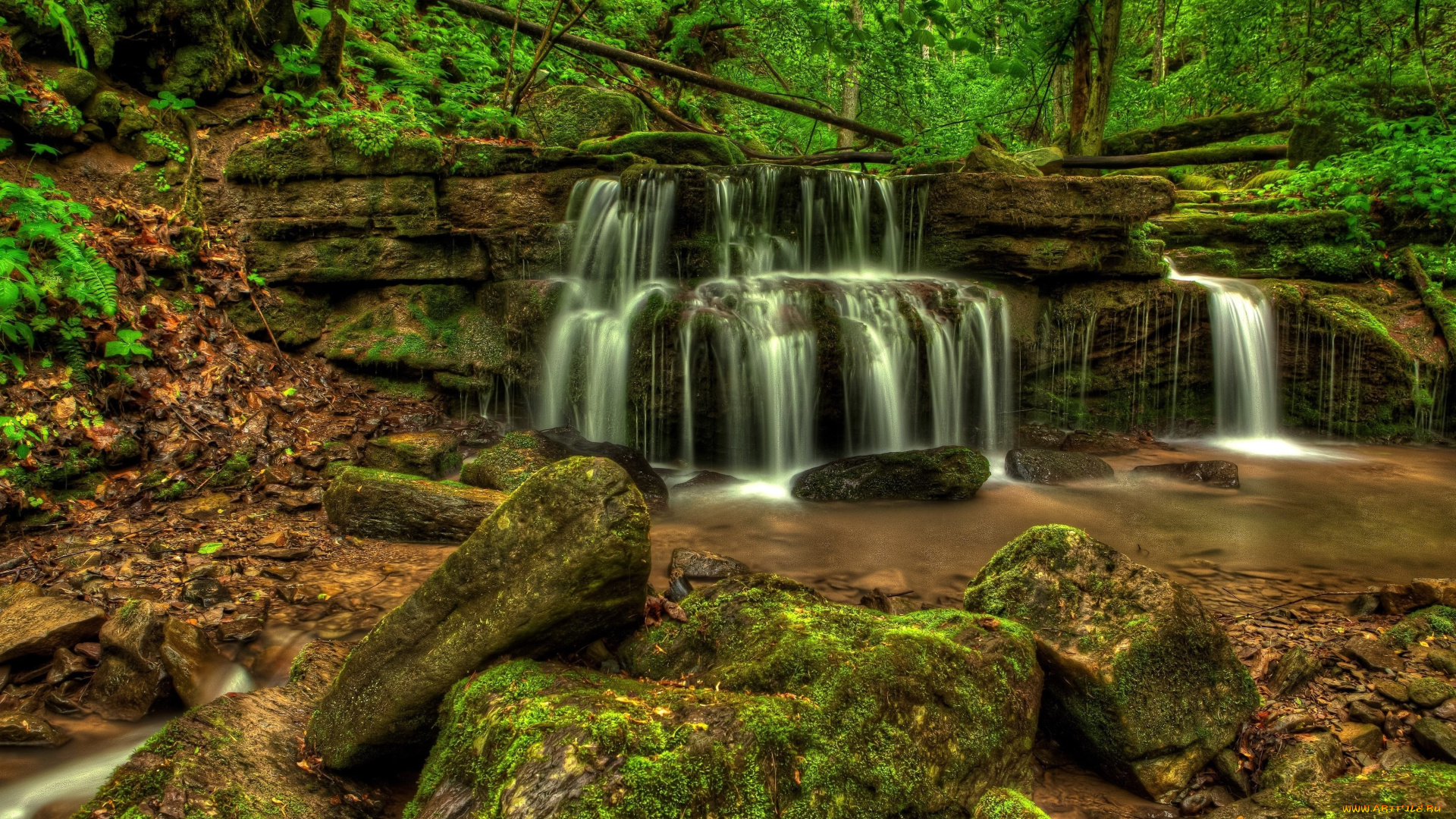 природа, водопады, поток, деревья, лес, камни