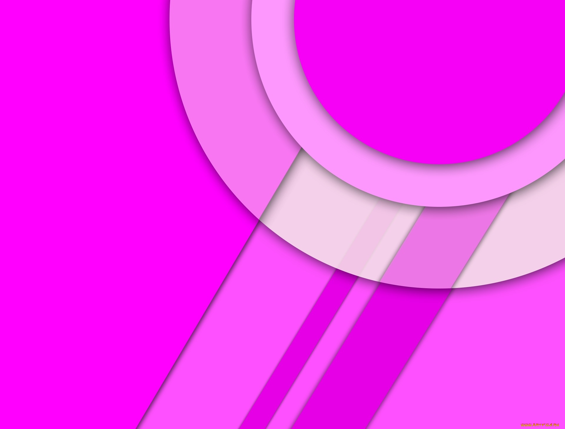 векторная, графика, графика, , graphics, белый, линии, розовый, круги, material, android