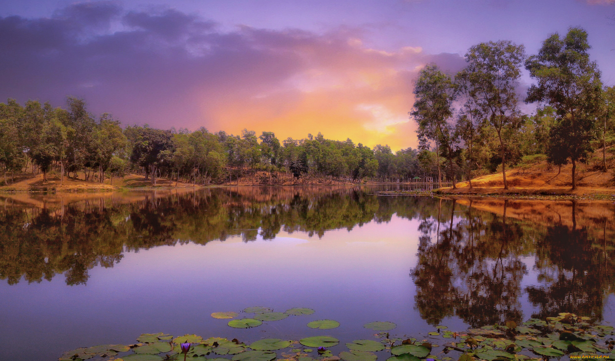 природа, реки, озера, река, лес