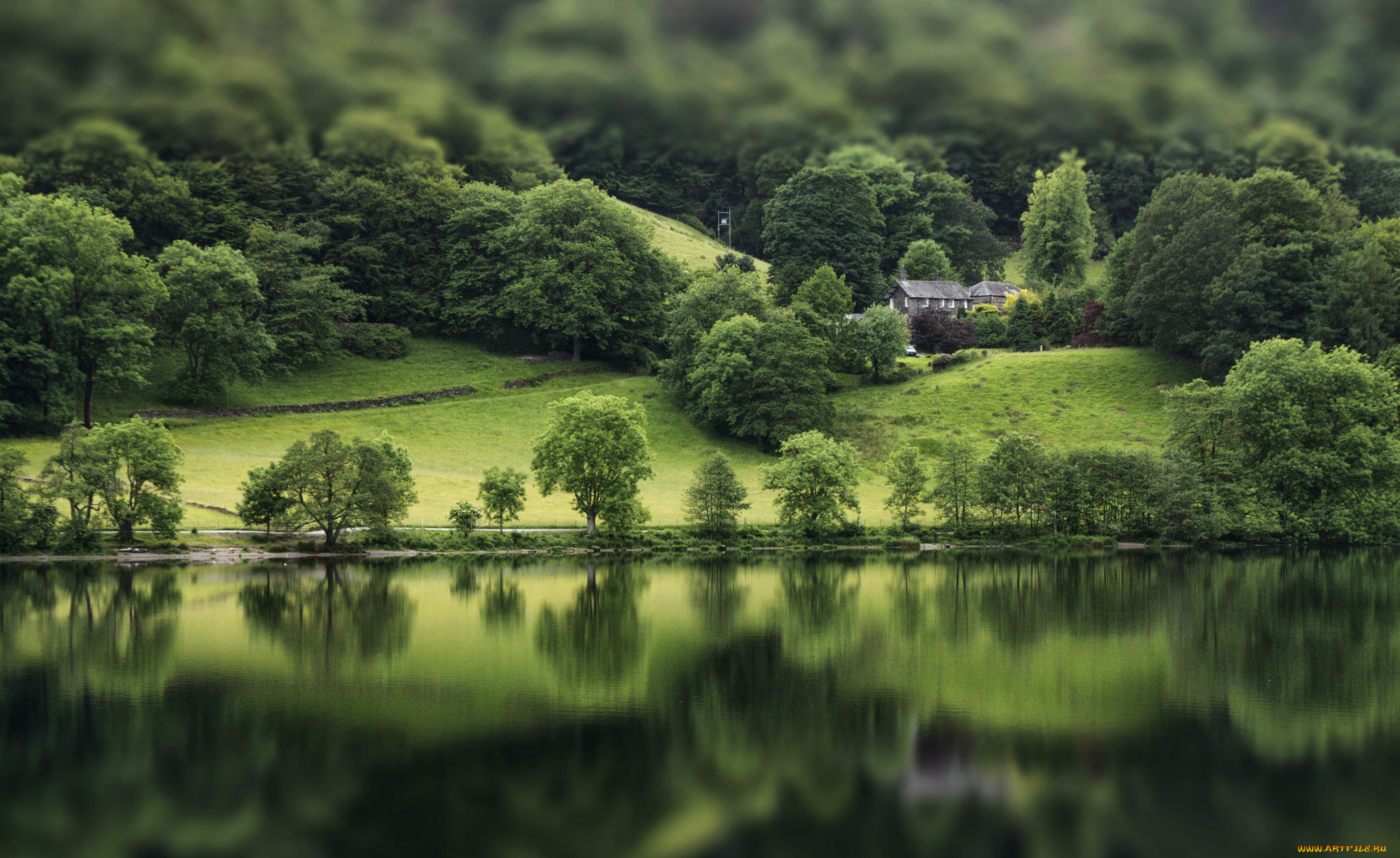 природа, реки, озера, лес, река