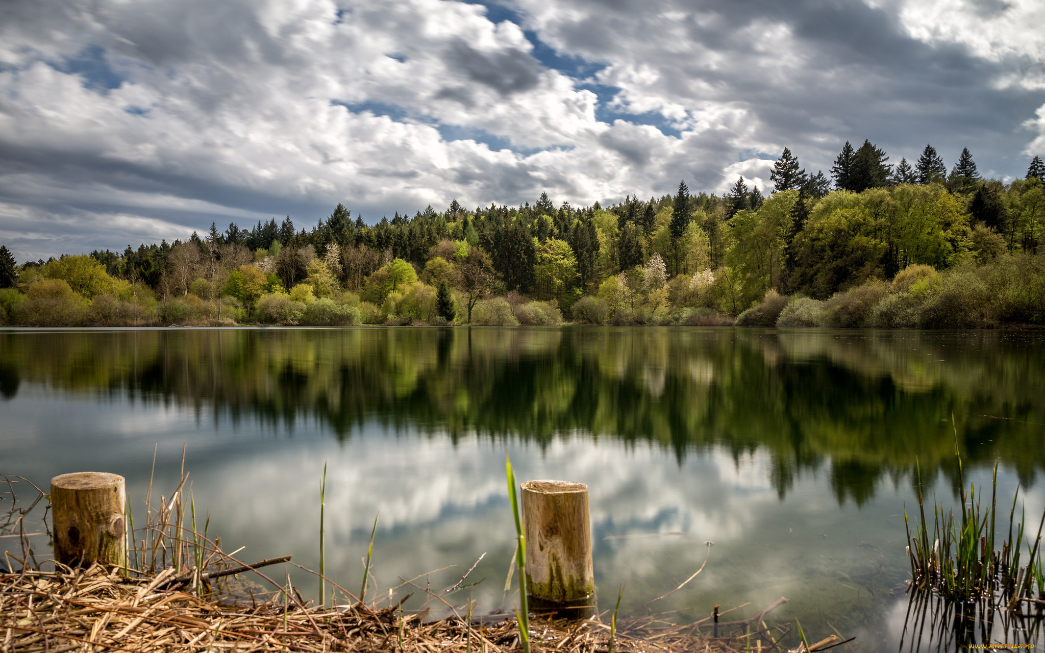 природа, реки, озера, лес, река