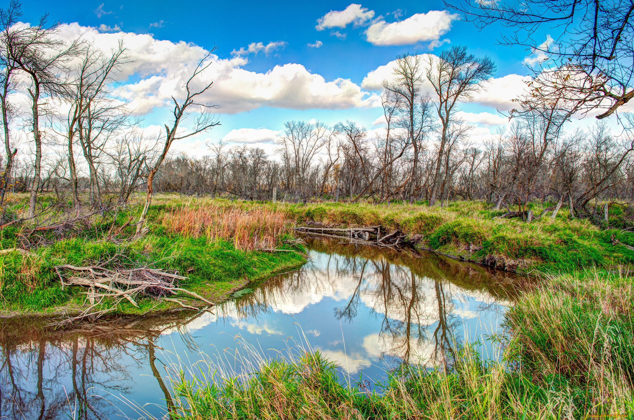 природа, реки, озера, лес, река
