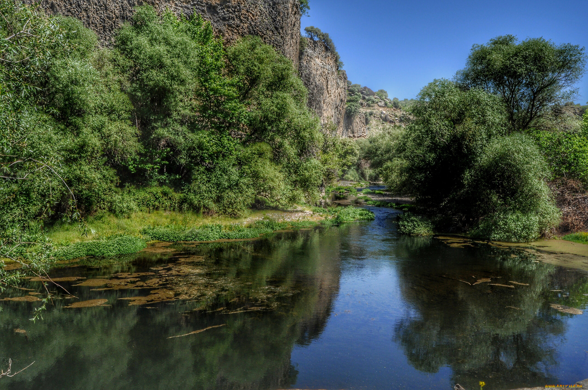 природа, реки, озера, лес, река