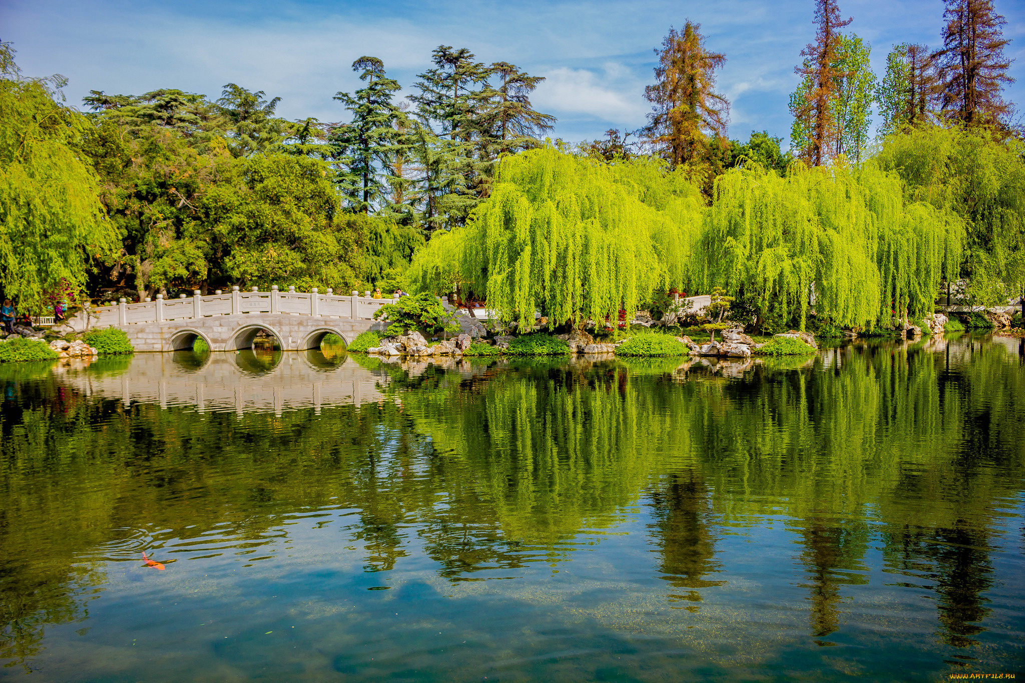 природа, реки, озера, река, лес