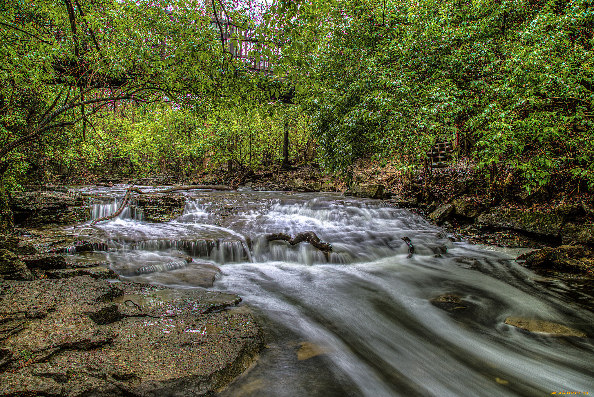 природа, реки, озера, река, лес