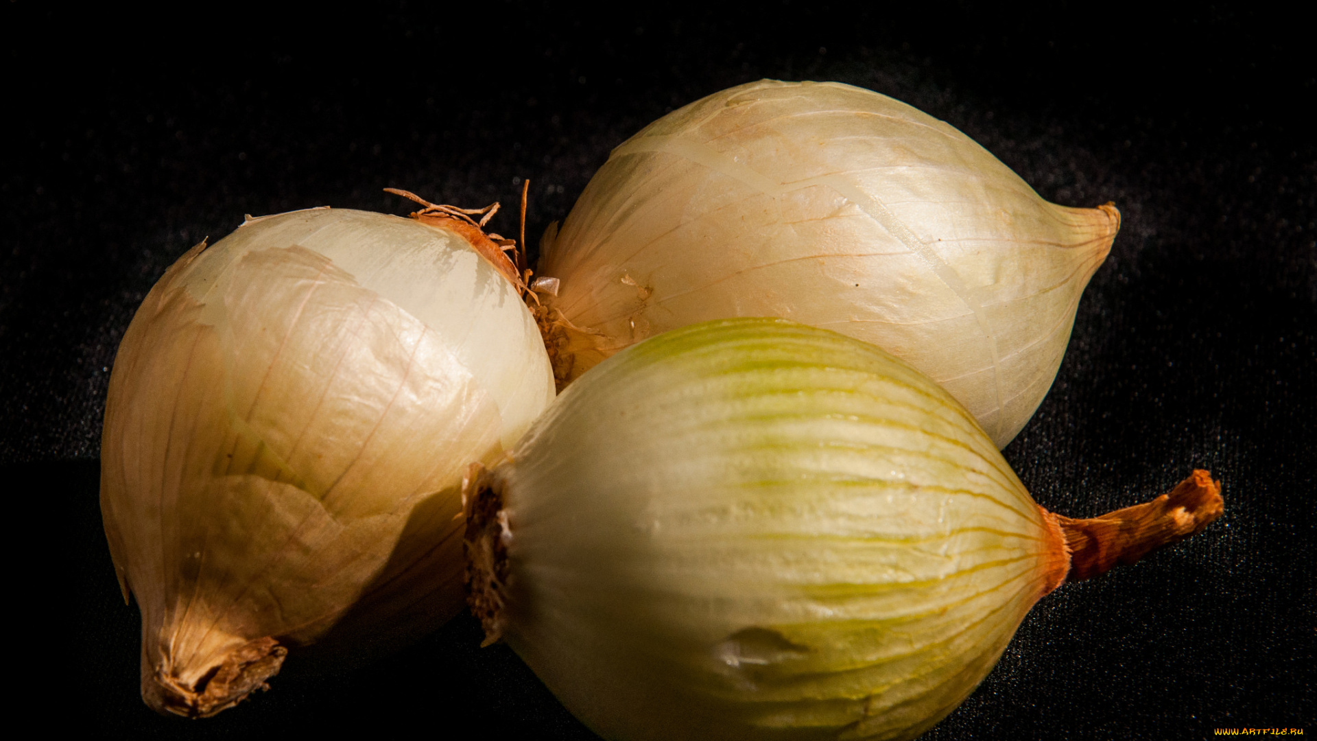 еда, лук, лучок