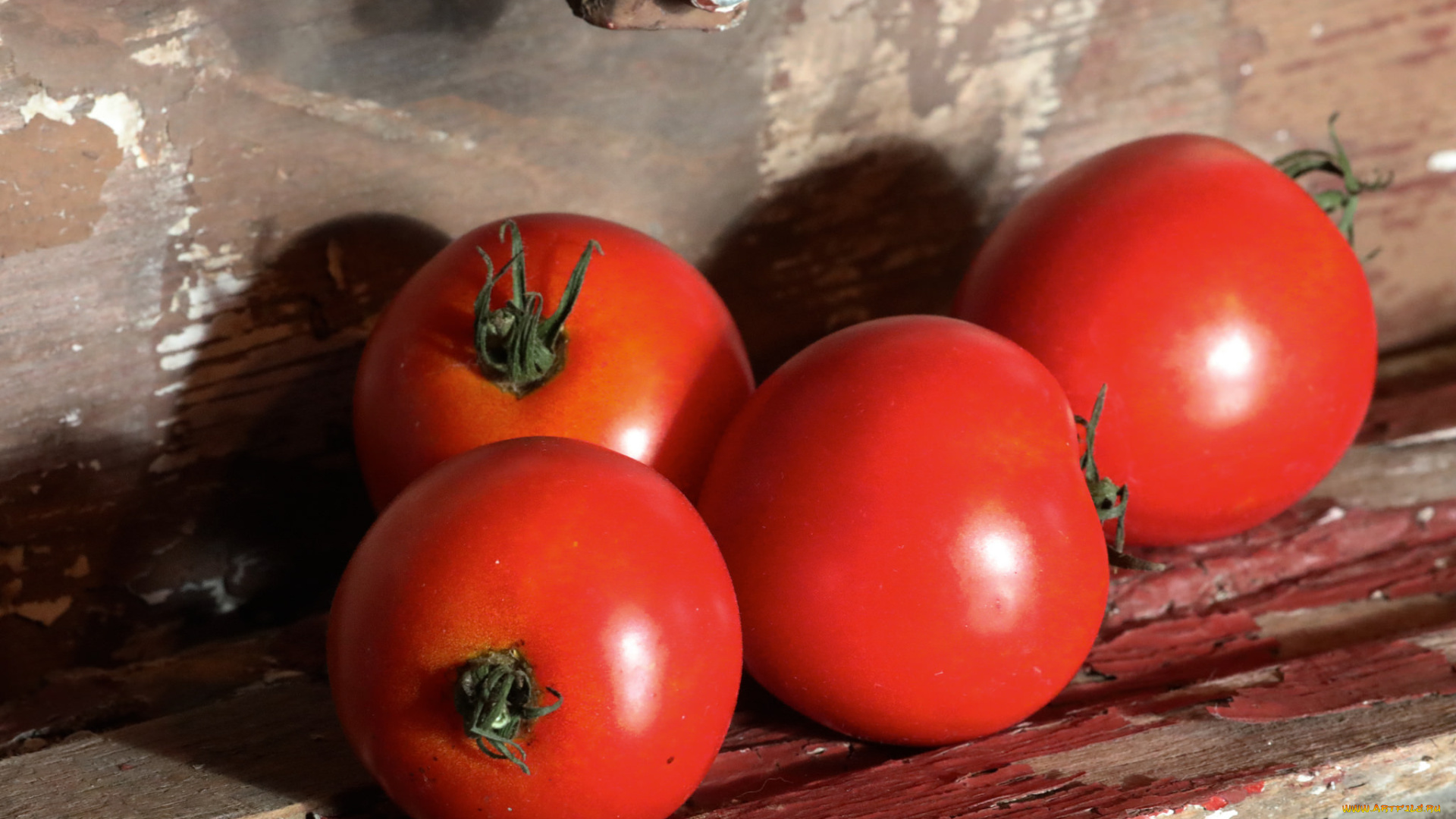 еда, помидоры, томаты