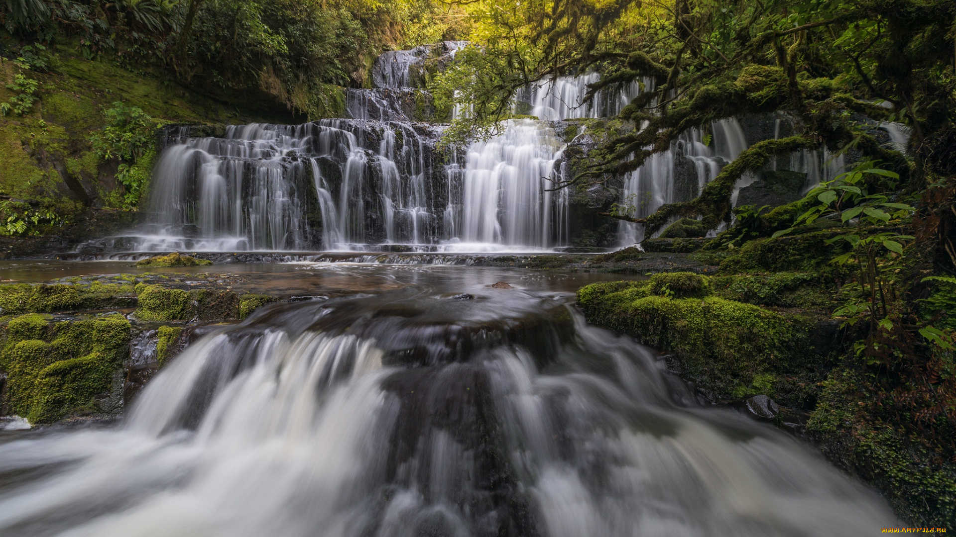 природа, водопады, лес, река, поток, камни
