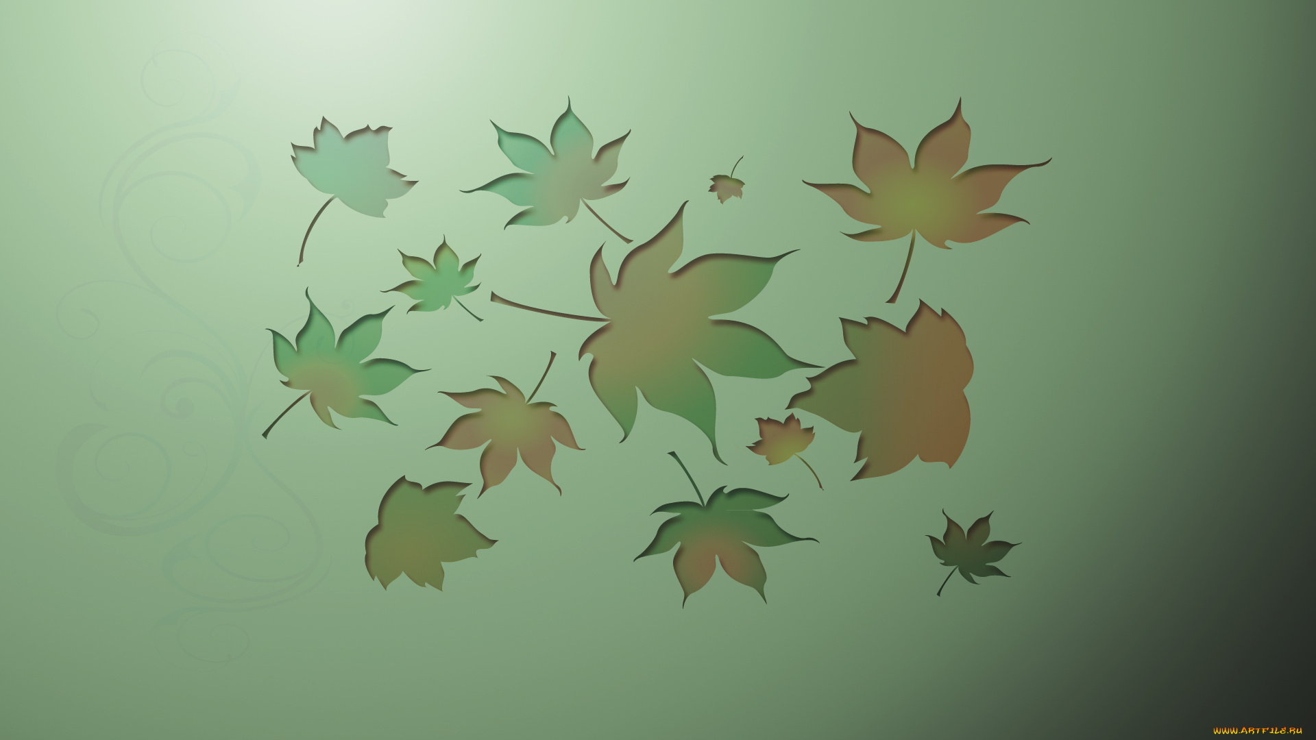 векторная, графика, природа, , nature, листья, фон