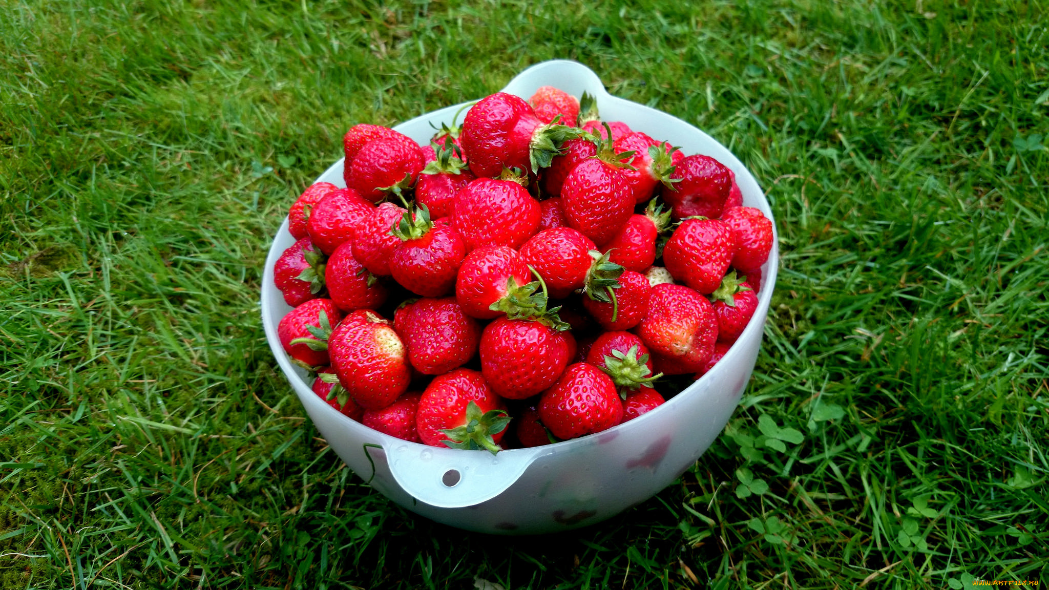 еда, клубника, , земляника, ягоды