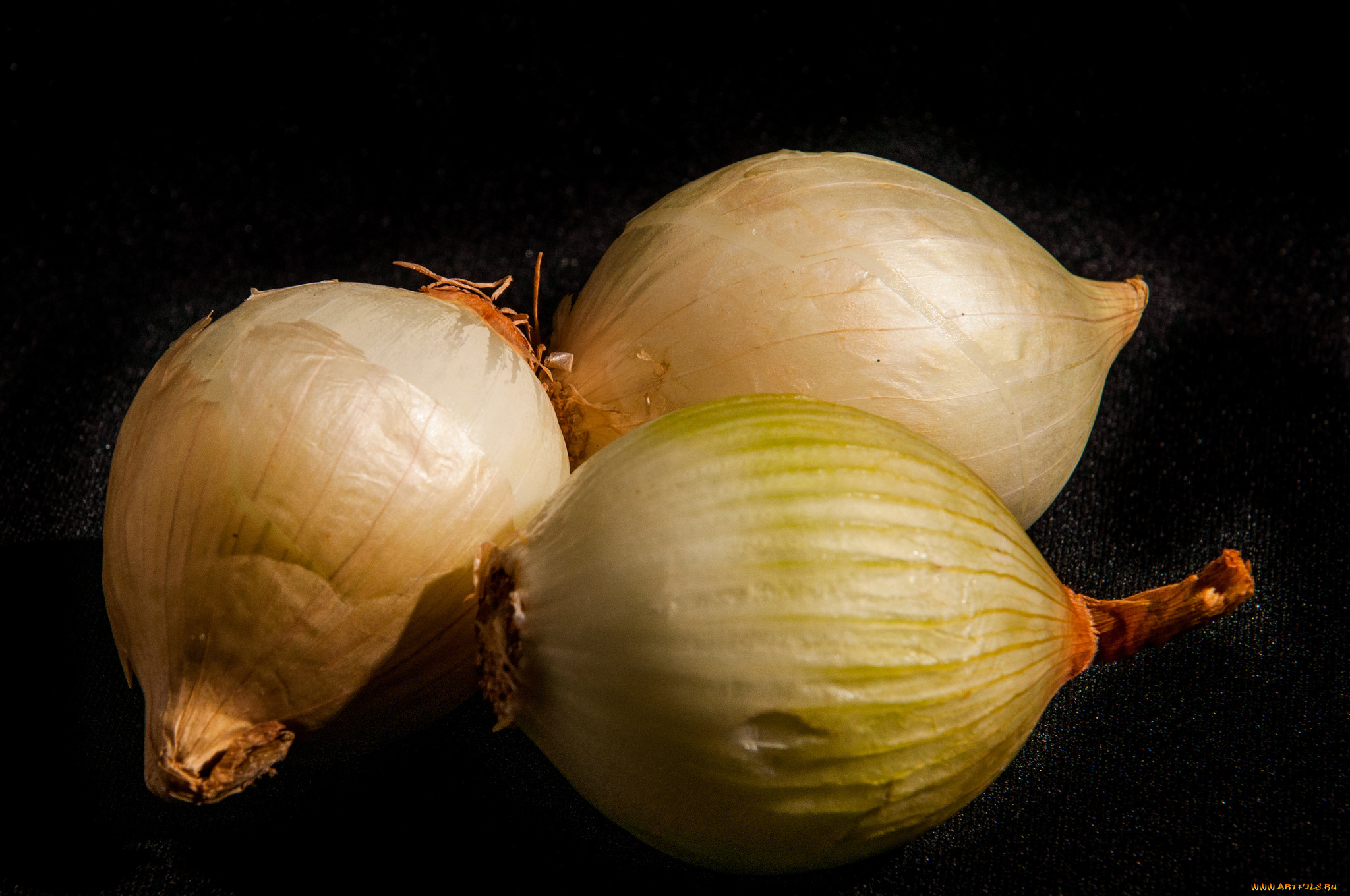 еда, лук, лучок