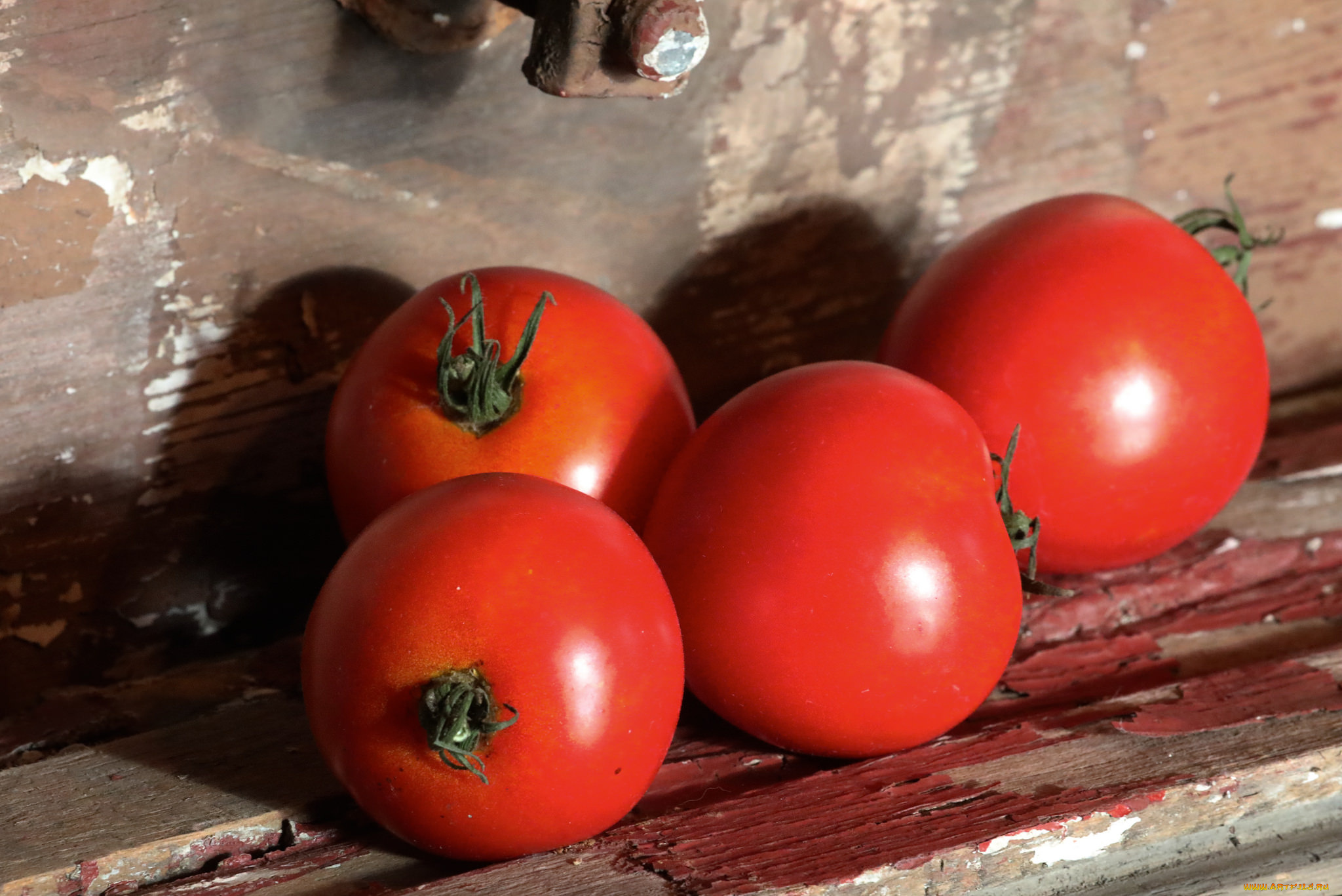 еда, помидоры, томаты