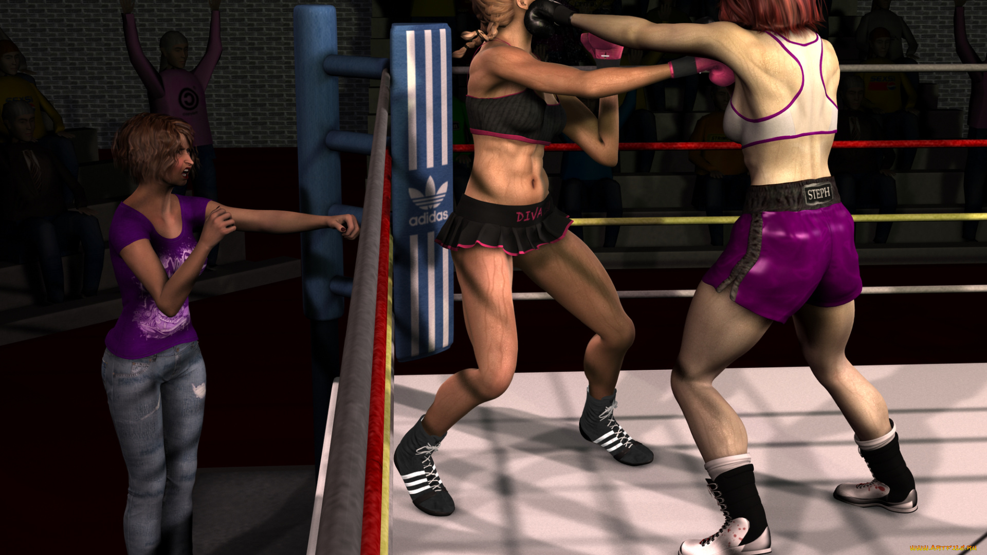 3д, графика, спорт, , sport, бокс, ринг, фон, взгляд, девушки