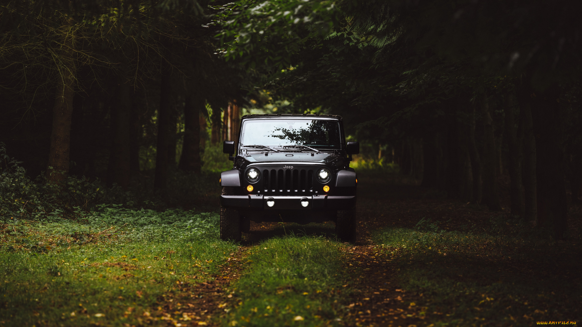 jeep, автомобили, wallhaven, concept, лес, джип, черный