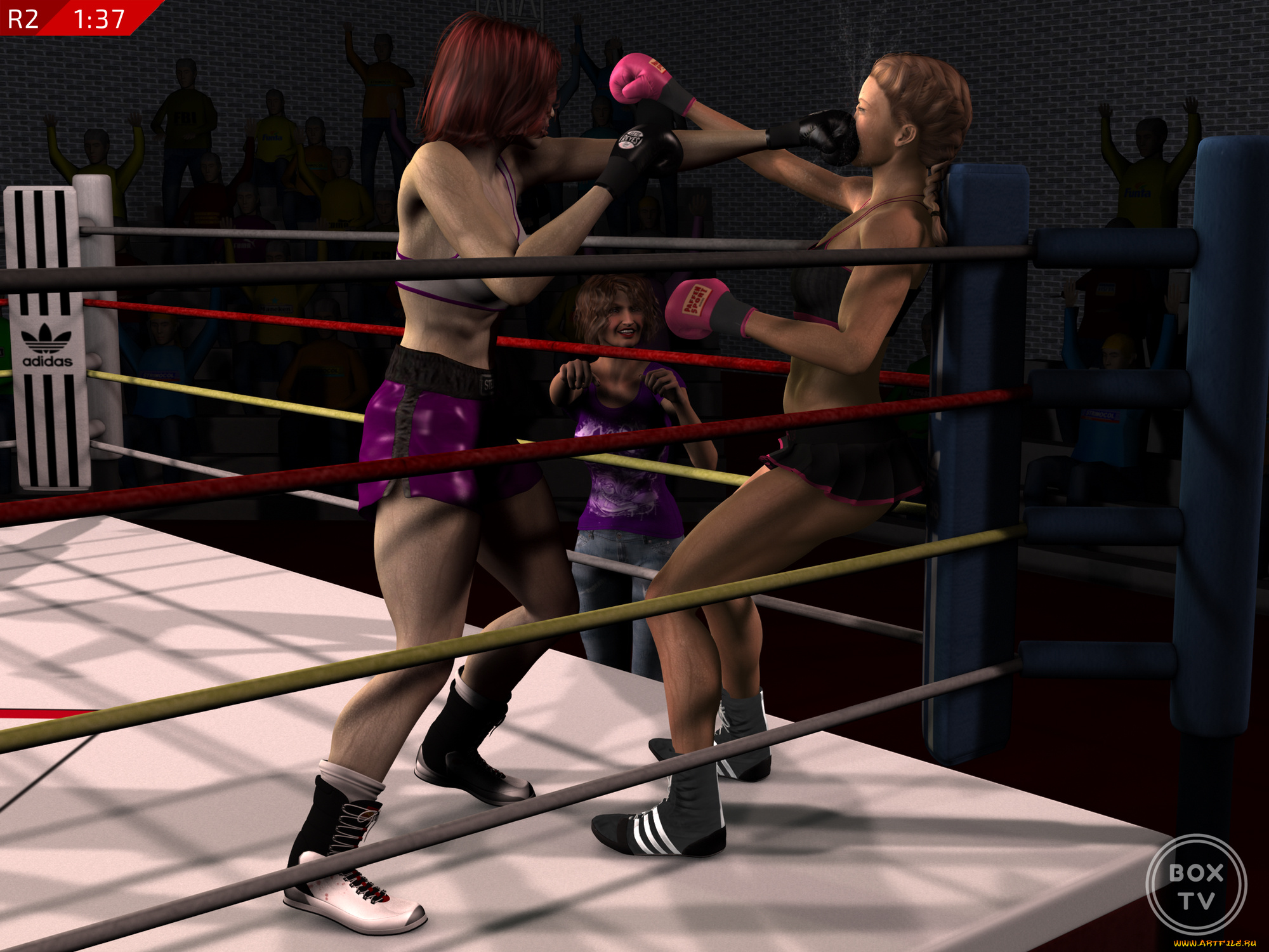 3д, графика, спорт, , sport, взгляд, девушки, бокс, ринг, фон