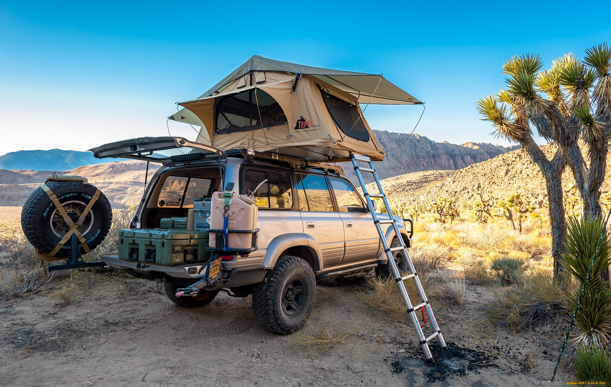 автомобили, toyota, кемпинг