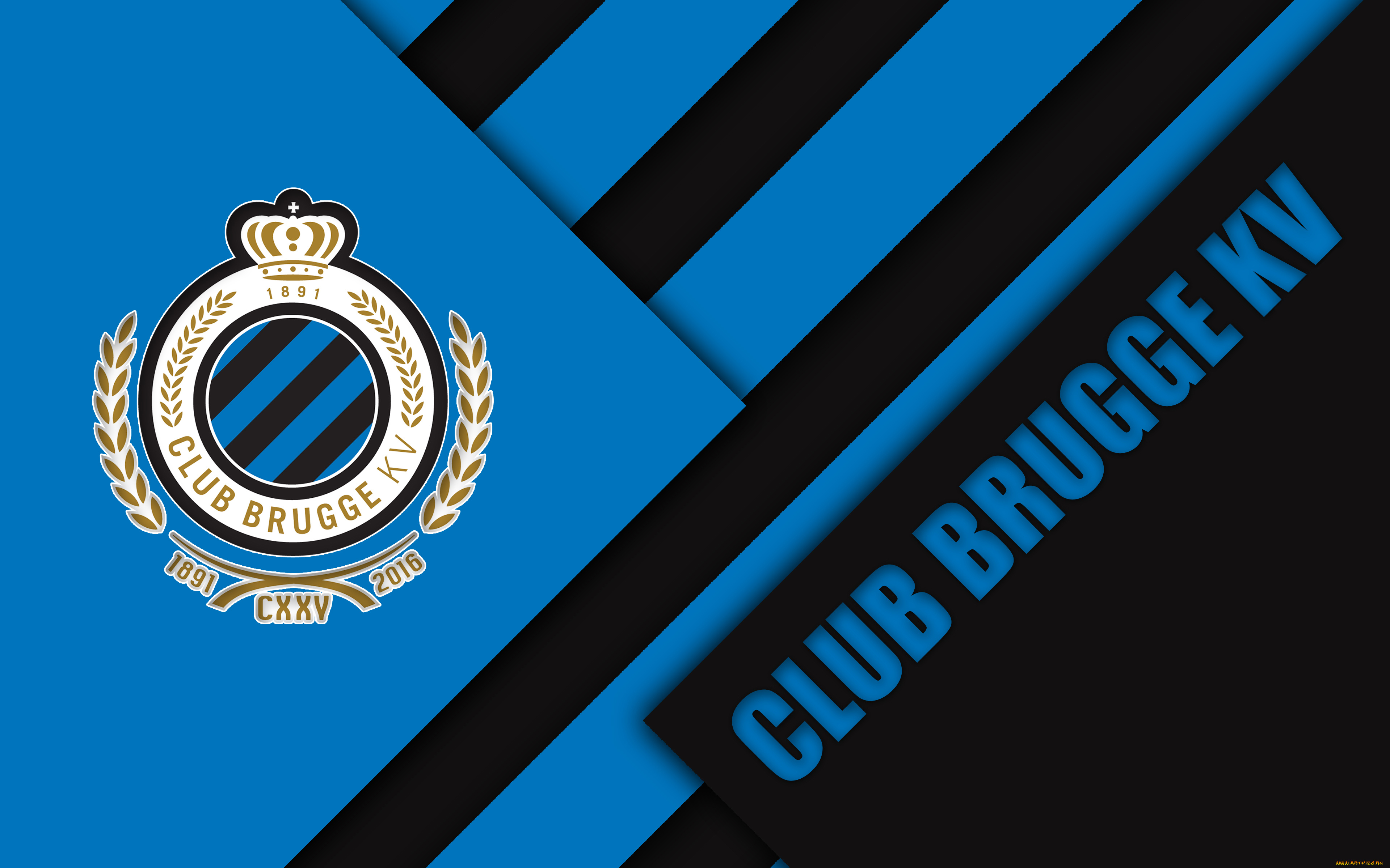 спорт, эмблемы, клубов, полосы, цвета, линии, фон, логотип