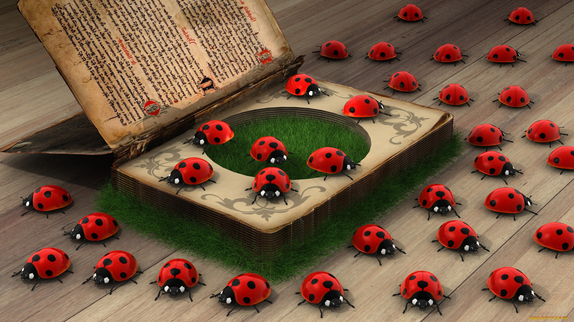 3д, графика, животные, , animals, книги, божьи, коровки