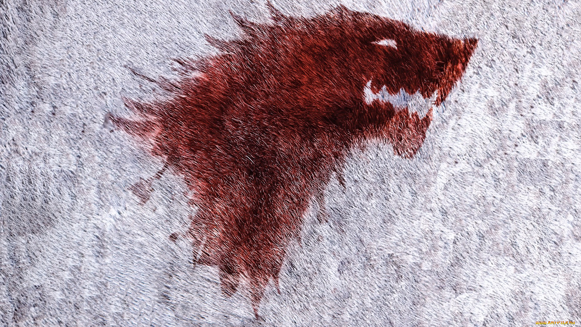 рисованное, кино, , мультфильмы, волк, шкура, кровь, старк