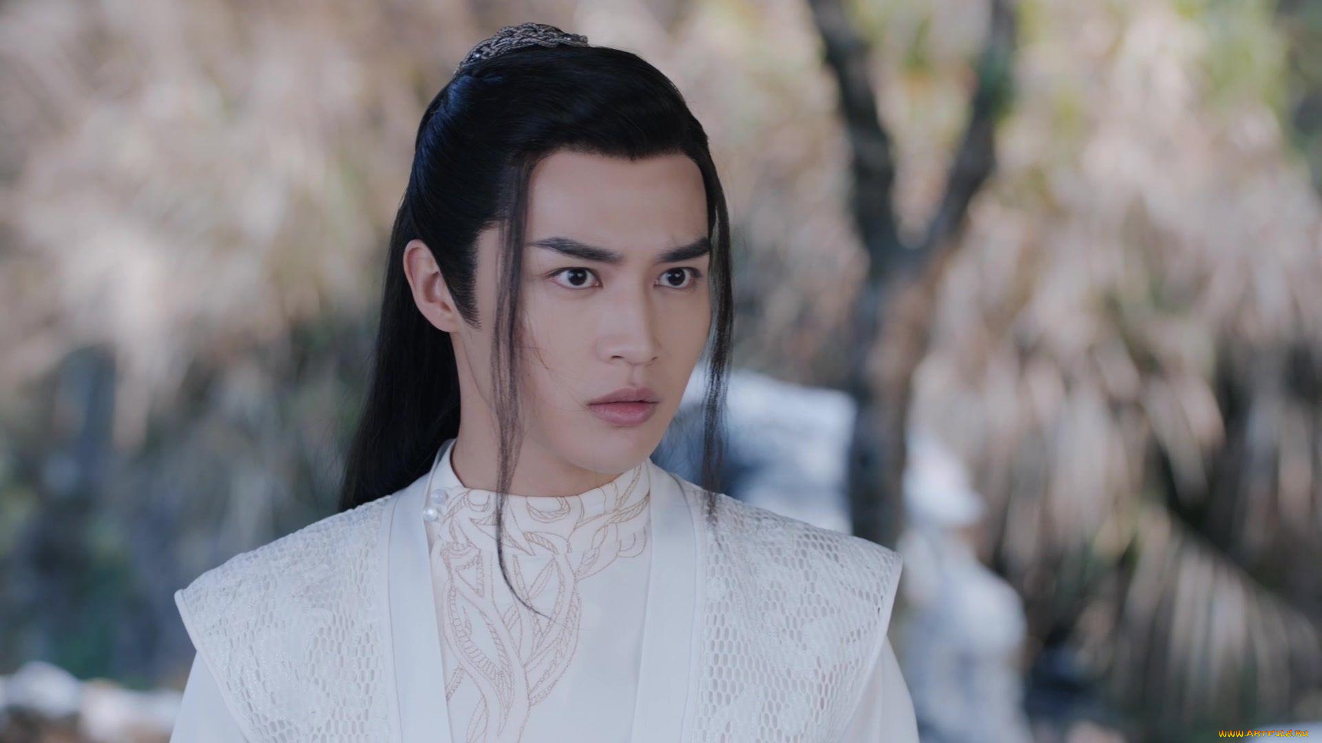 кино, фильмы, dance, of, the, phoenix, танец, феникса