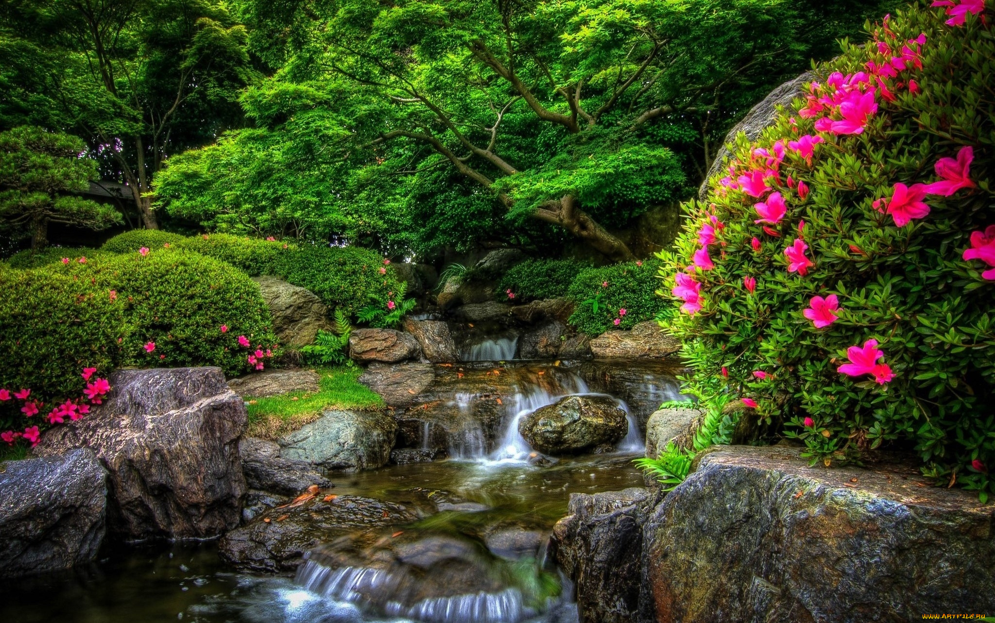 природа, парк, цветущие, кусты, водопад