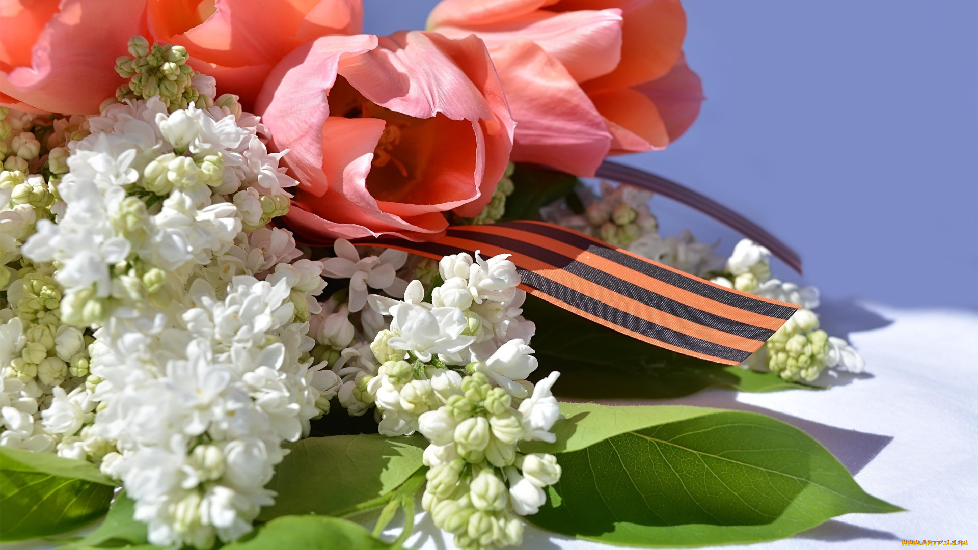 праздничные, день, победы, сирень, тюльпаны, лента