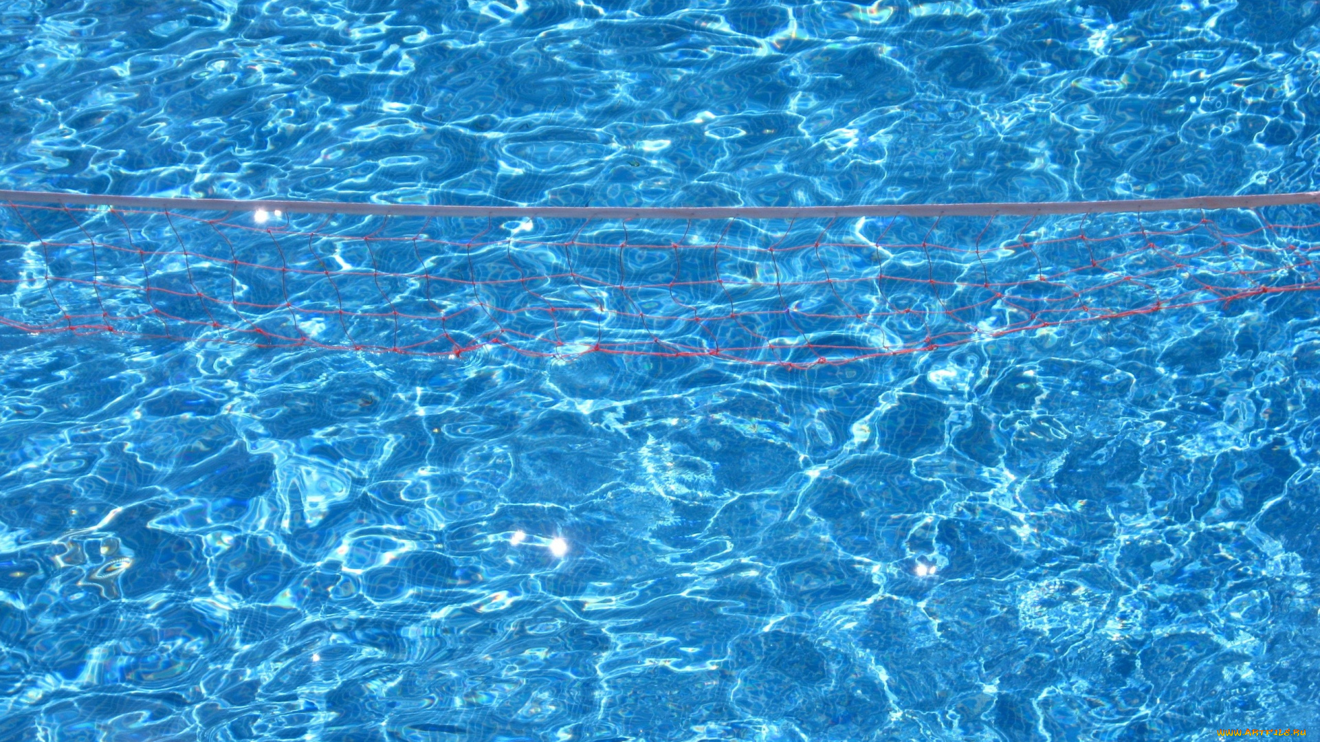 спорт, водный, спорт, бассейн, вода, сетка, поло