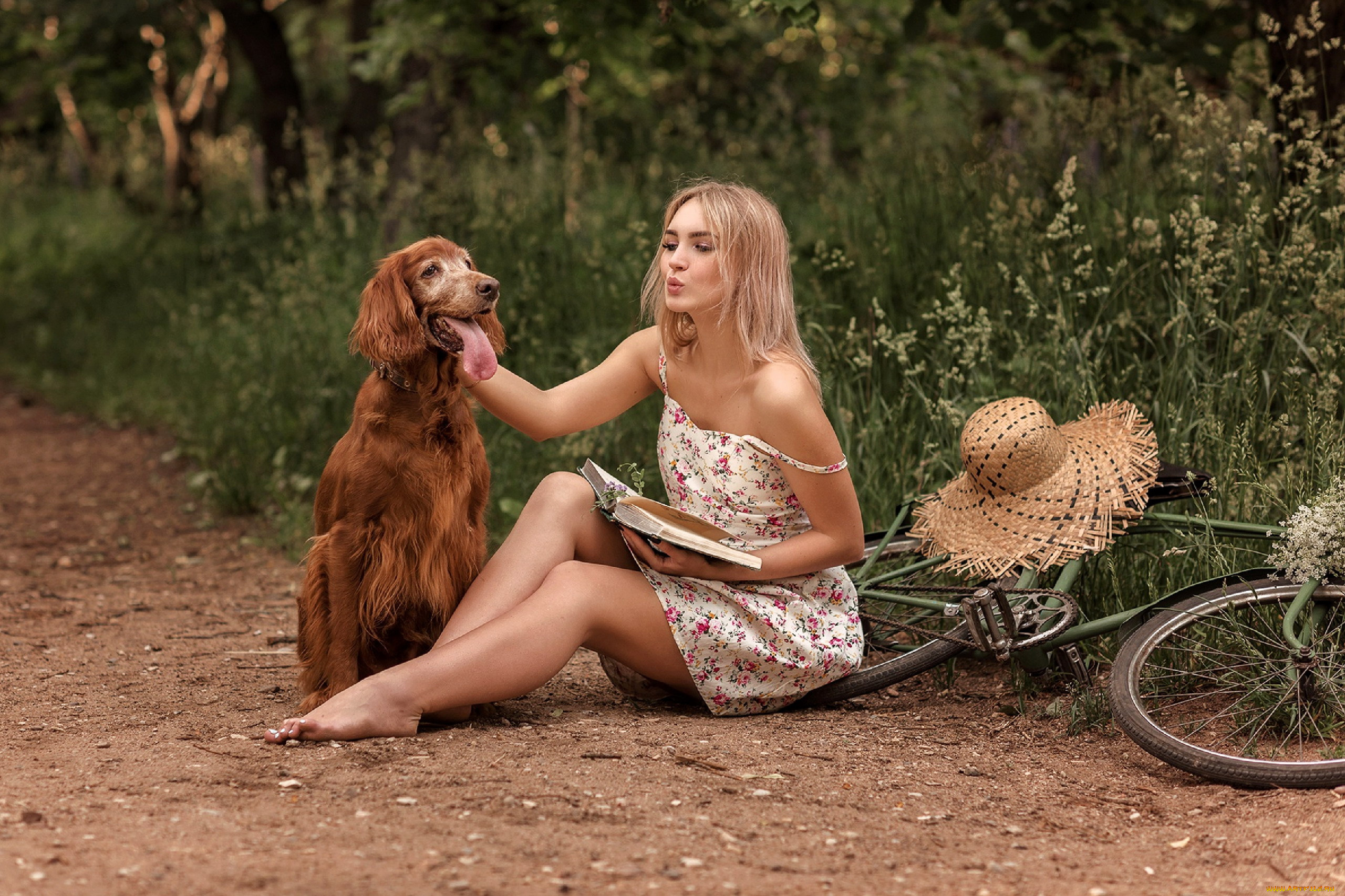 девушки, -, блондинки, , светловолосые, блондинка, велосипед, шляпа, книга, собака