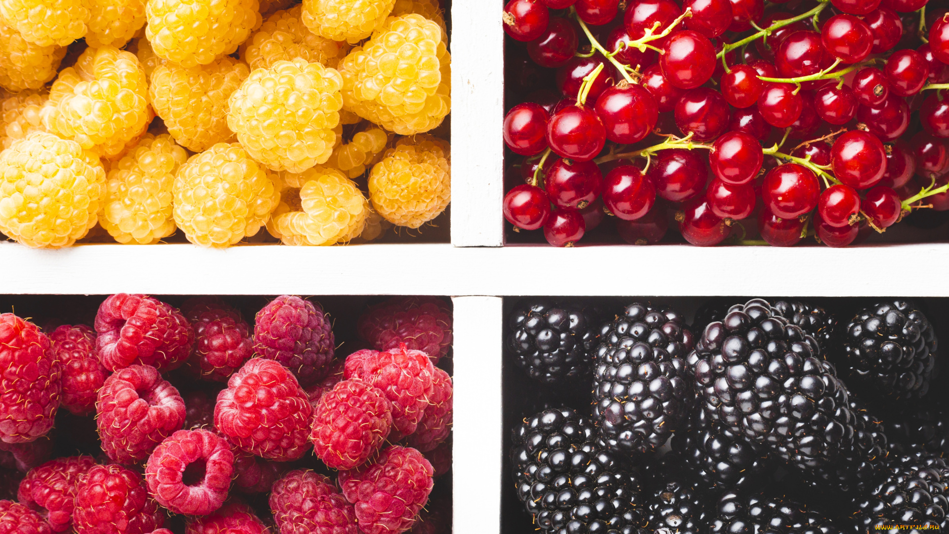 еда, фрукты, , ягоды, ягоды