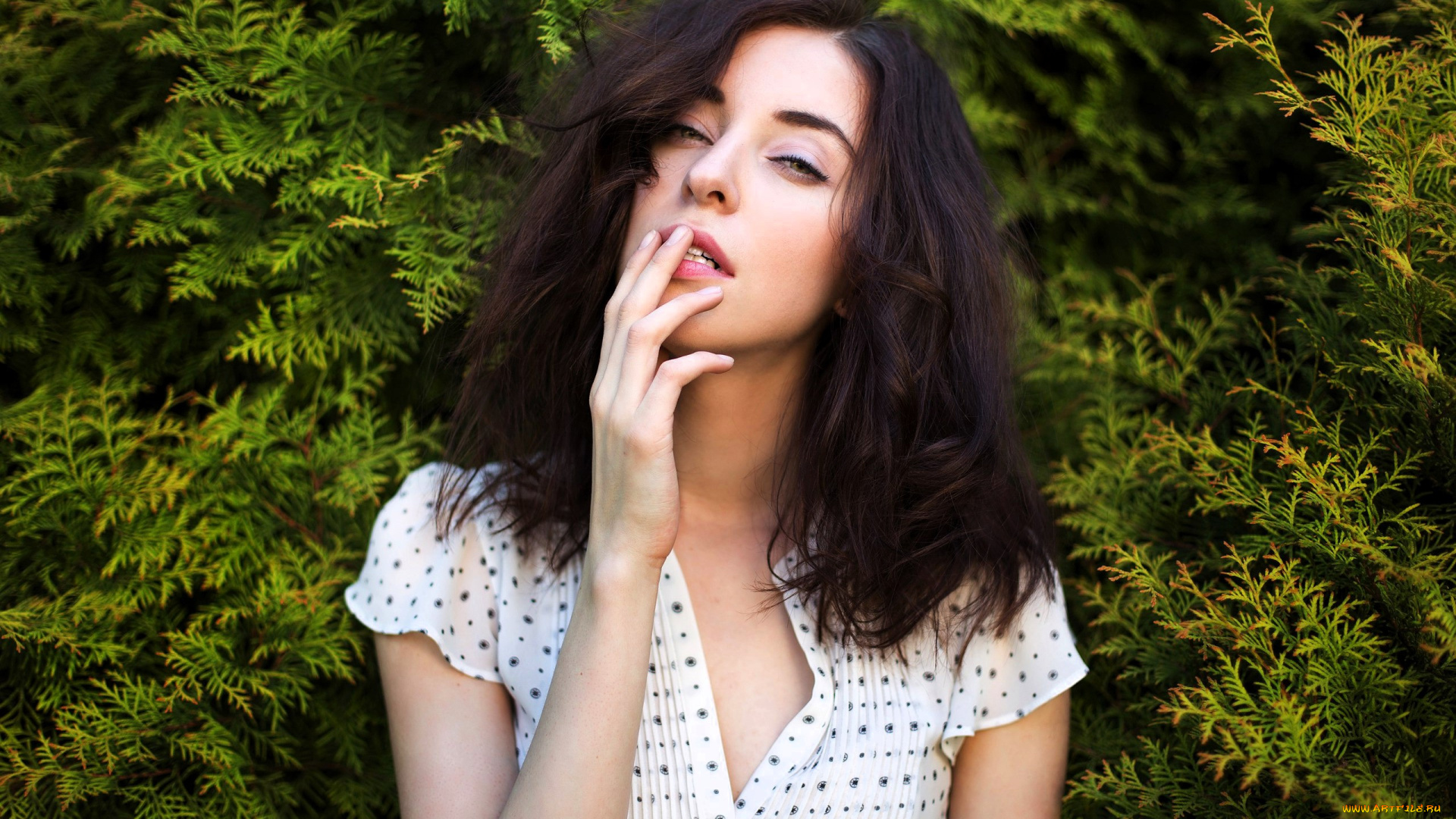 ксюша, власова, девушки, -, лица, , портреты, шатенка, лицо, рубашка, туя