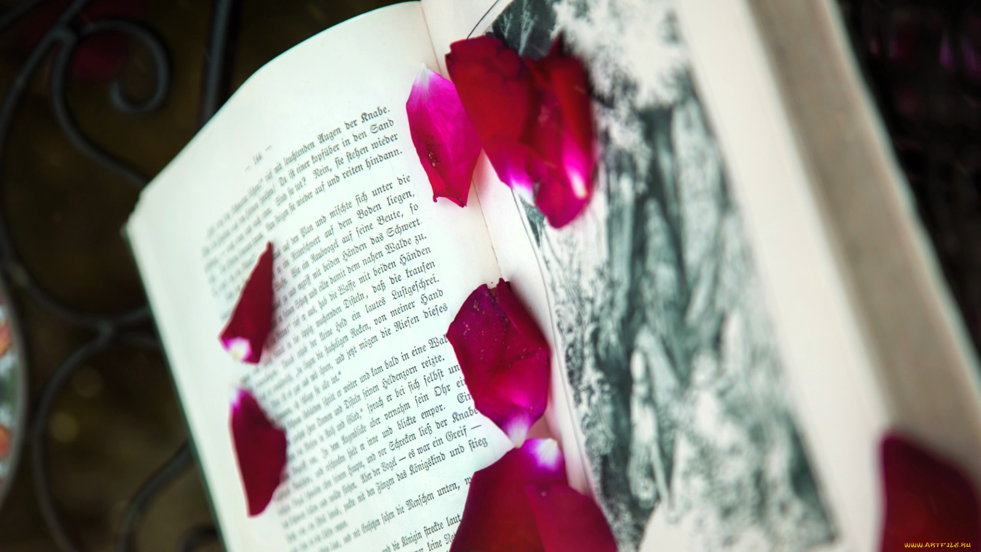 разное, канцелярия, , книги, книга, лепестки