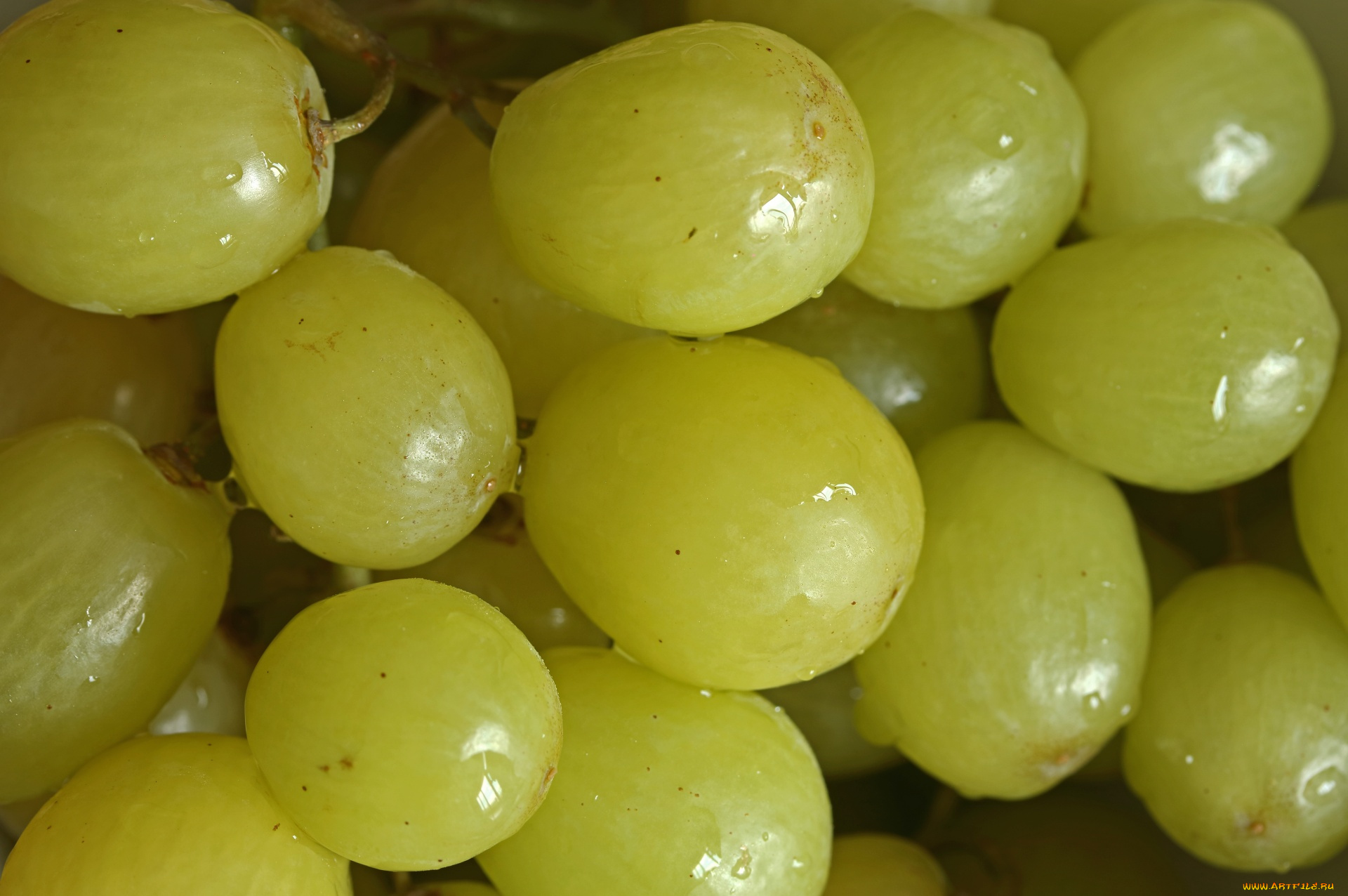 еда, виноград, ягоды, зеленый, капли, макро