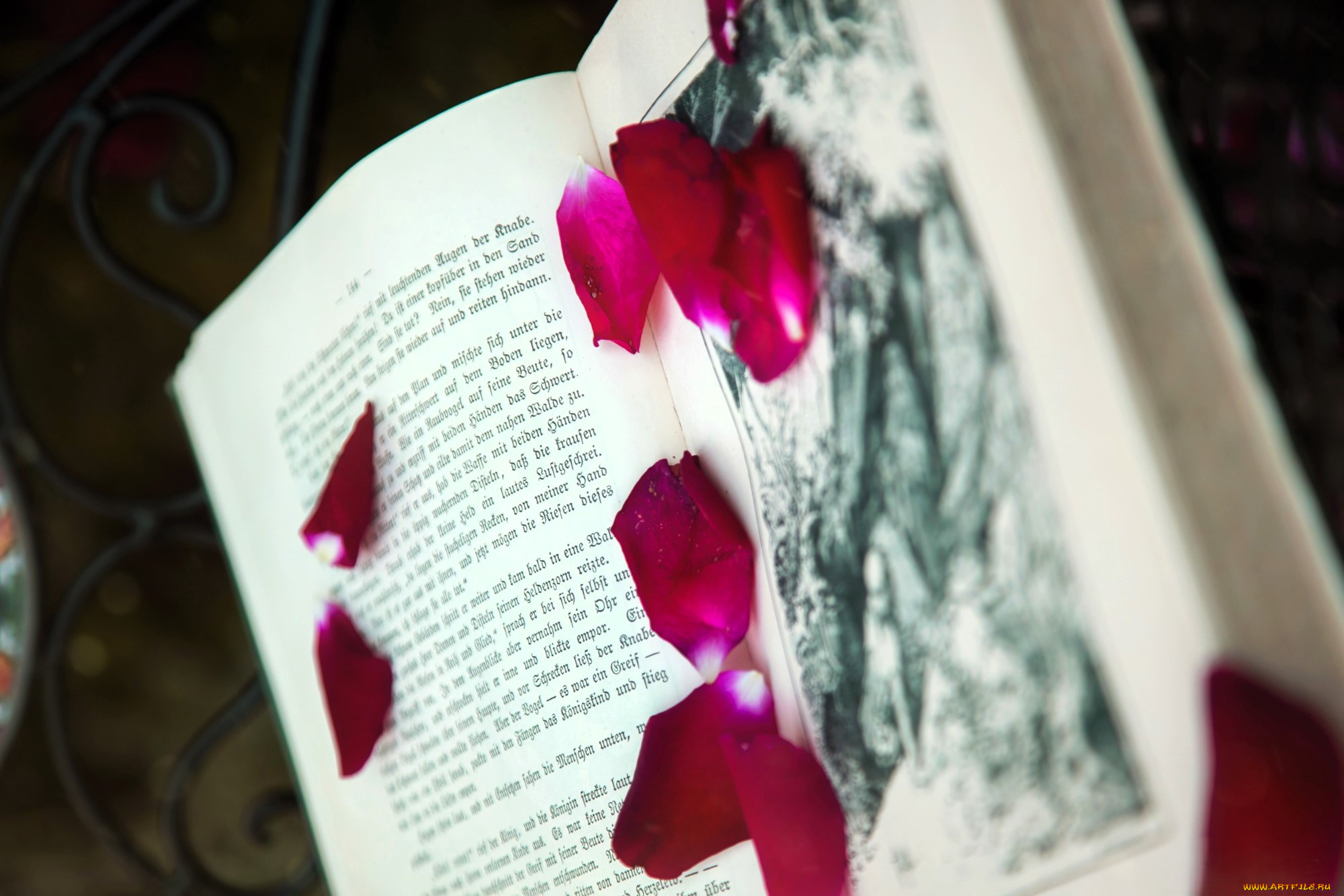 разное, канцелярия, , книги, книга, лепестки