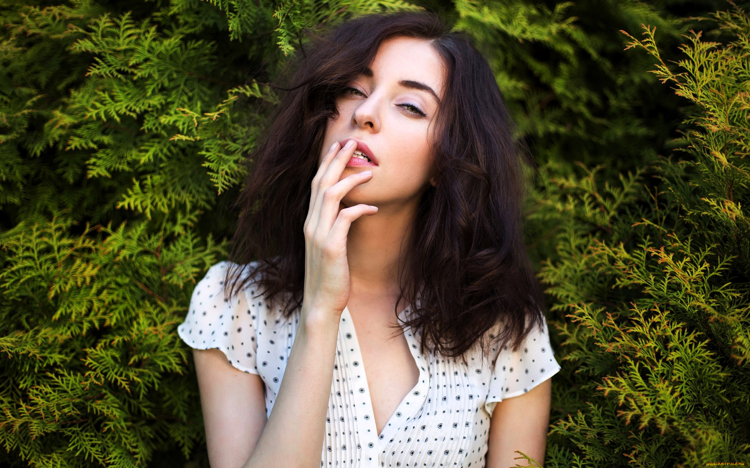 ксюша, власова, девушки, -, лица, , портреты, шатенка, лицо, рубашка, туя