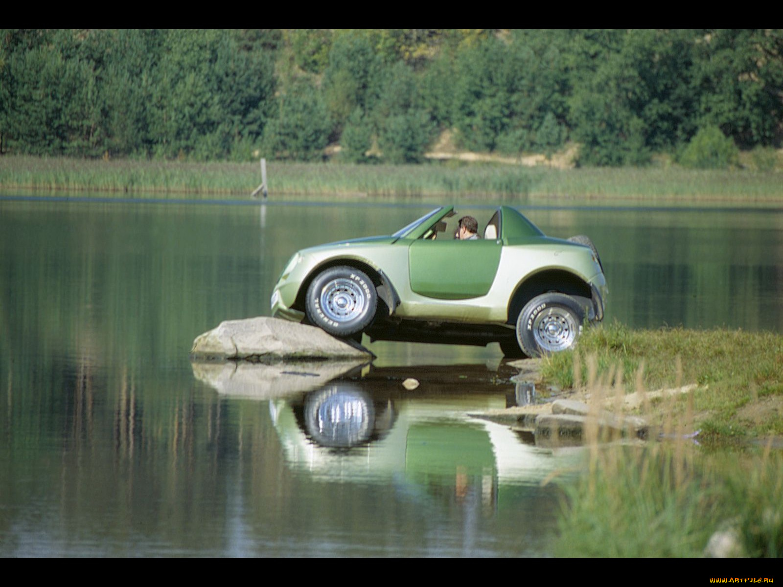 автомобили, cardi